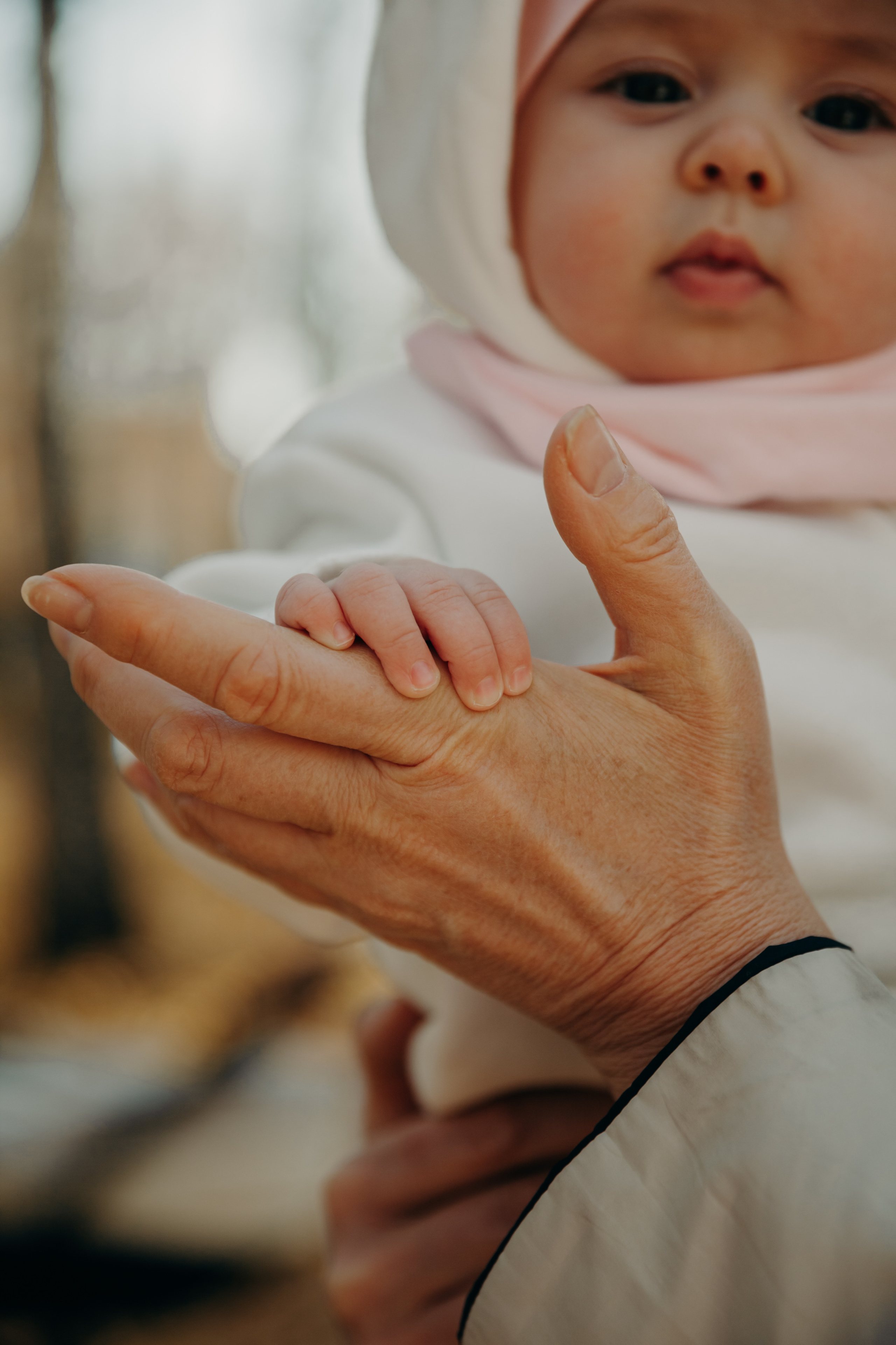 Пикник в осеннем парке. Женский и семейный фотограф в Санкт- Петербурге Элина Сухарина