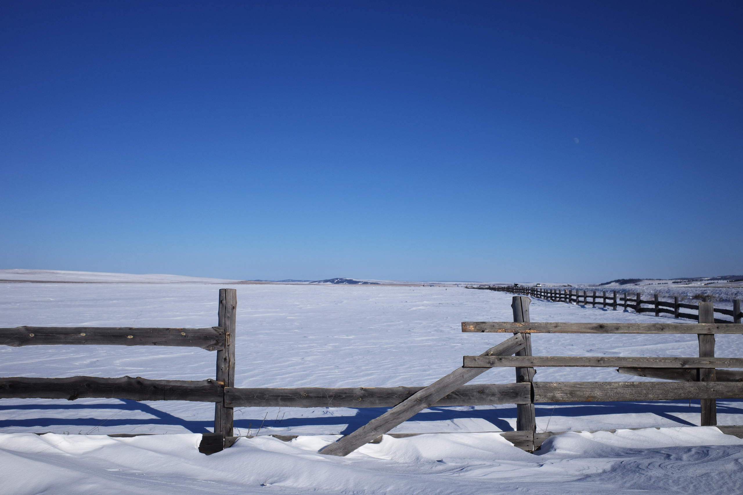 Безмолвие пустоши. Междисциплинарный художник Екатерина Старовойтова
