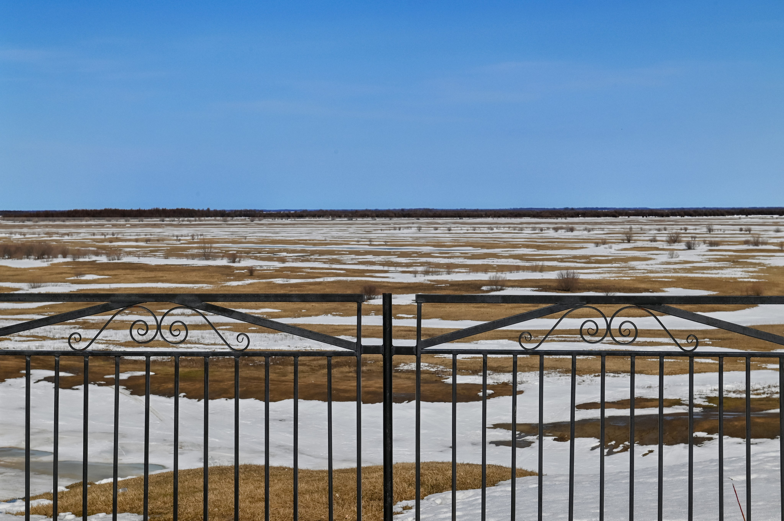 Безмолвие пустоши. Междисциплинарный художник Екатерина Старовойтова