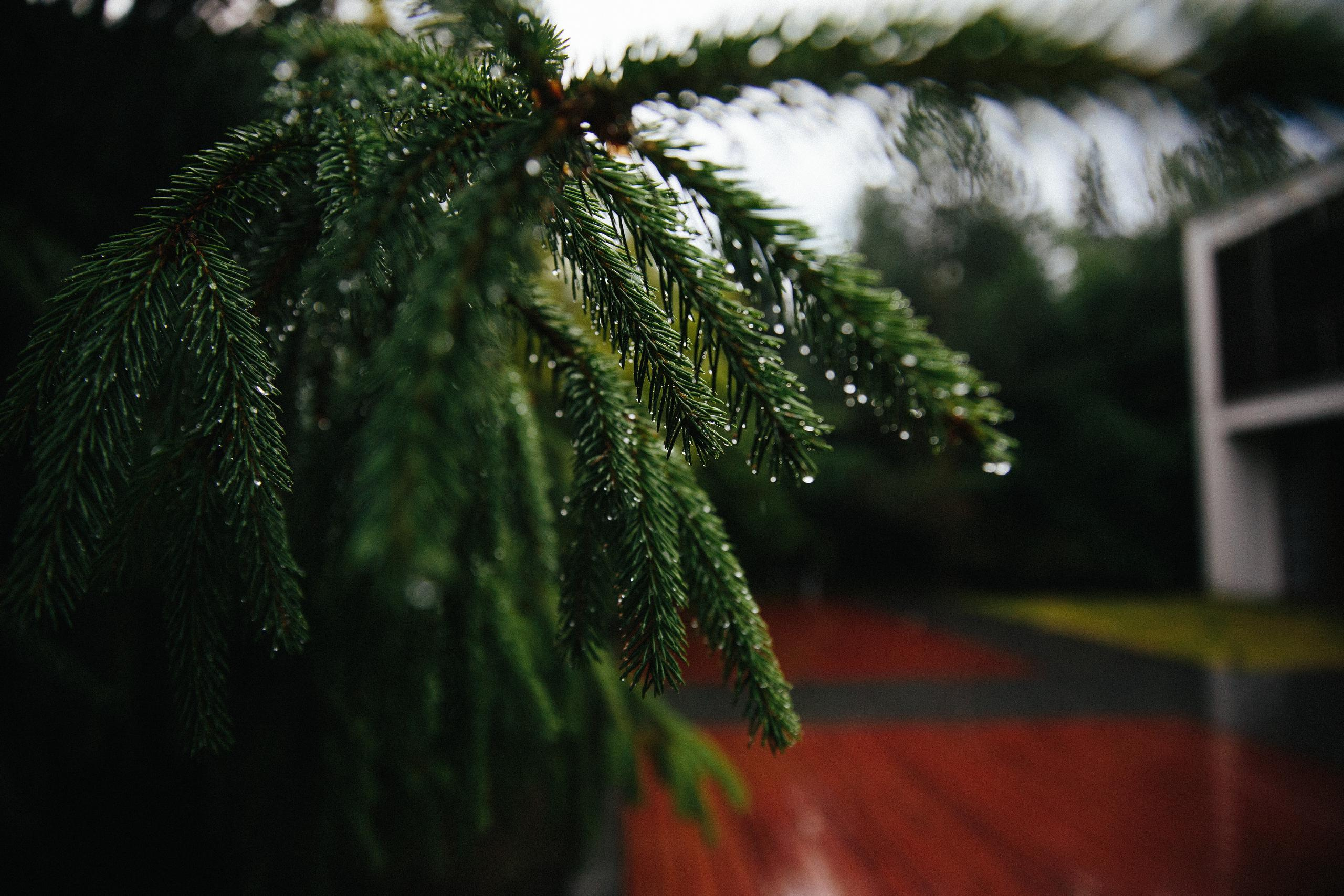 Милаша. 1 год рождения. Александр Чернин. Семейный и событийный фотограф