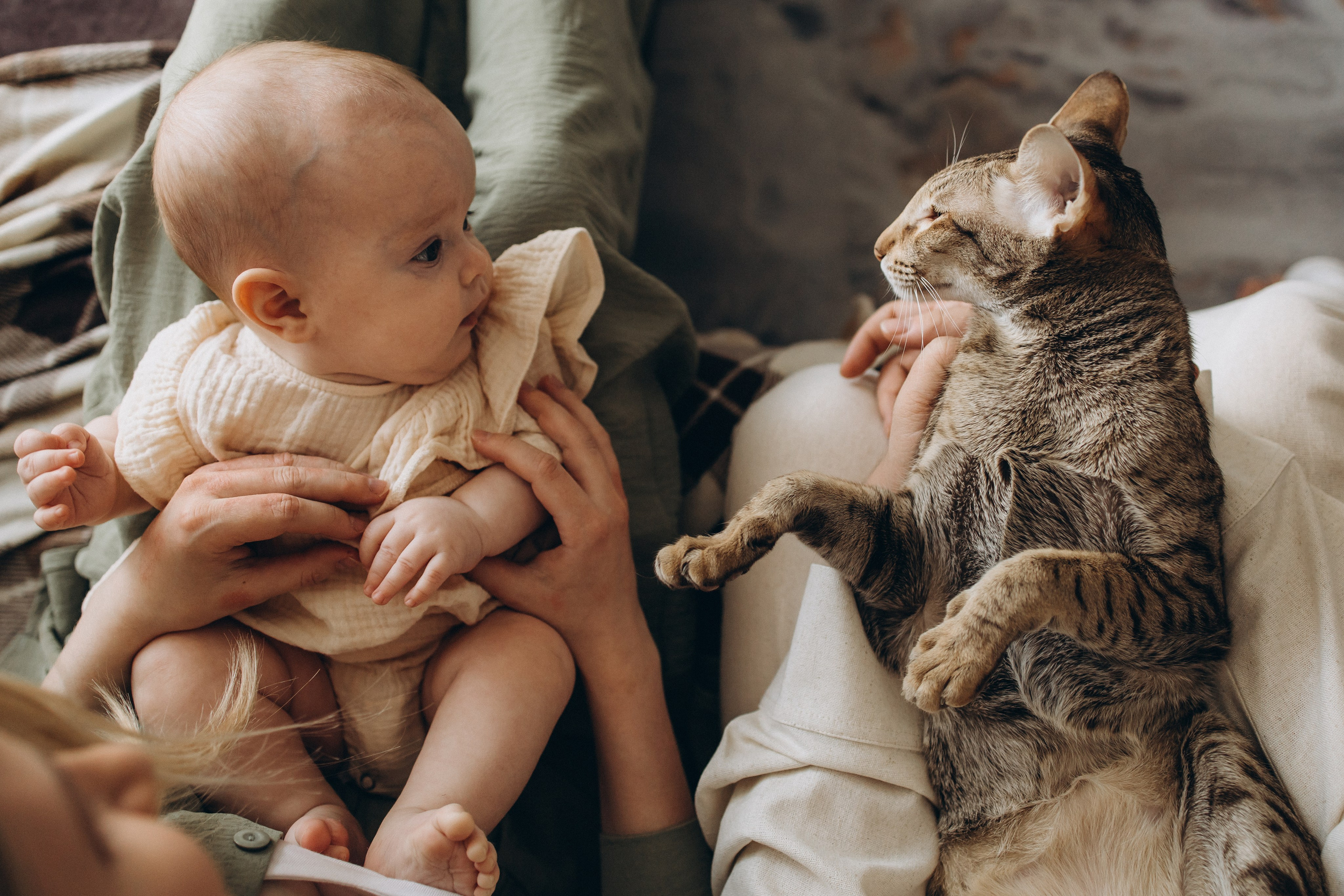 Уютная домашняя съемка с малышкой и котиком. Семейный фотограф в Москве, Щелково, Фрязино _ Виктория Степанова