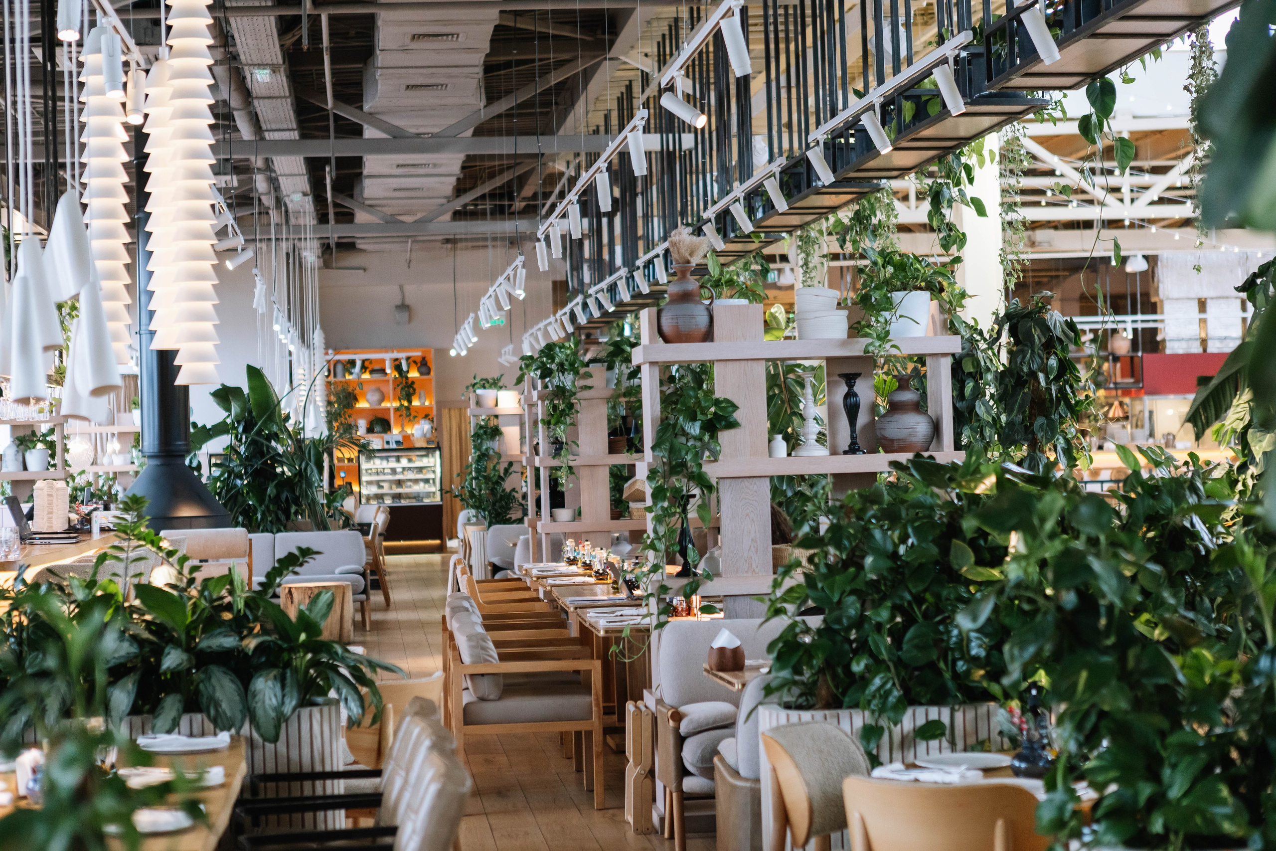 Food. Фото, видео и контент съемки в Москве