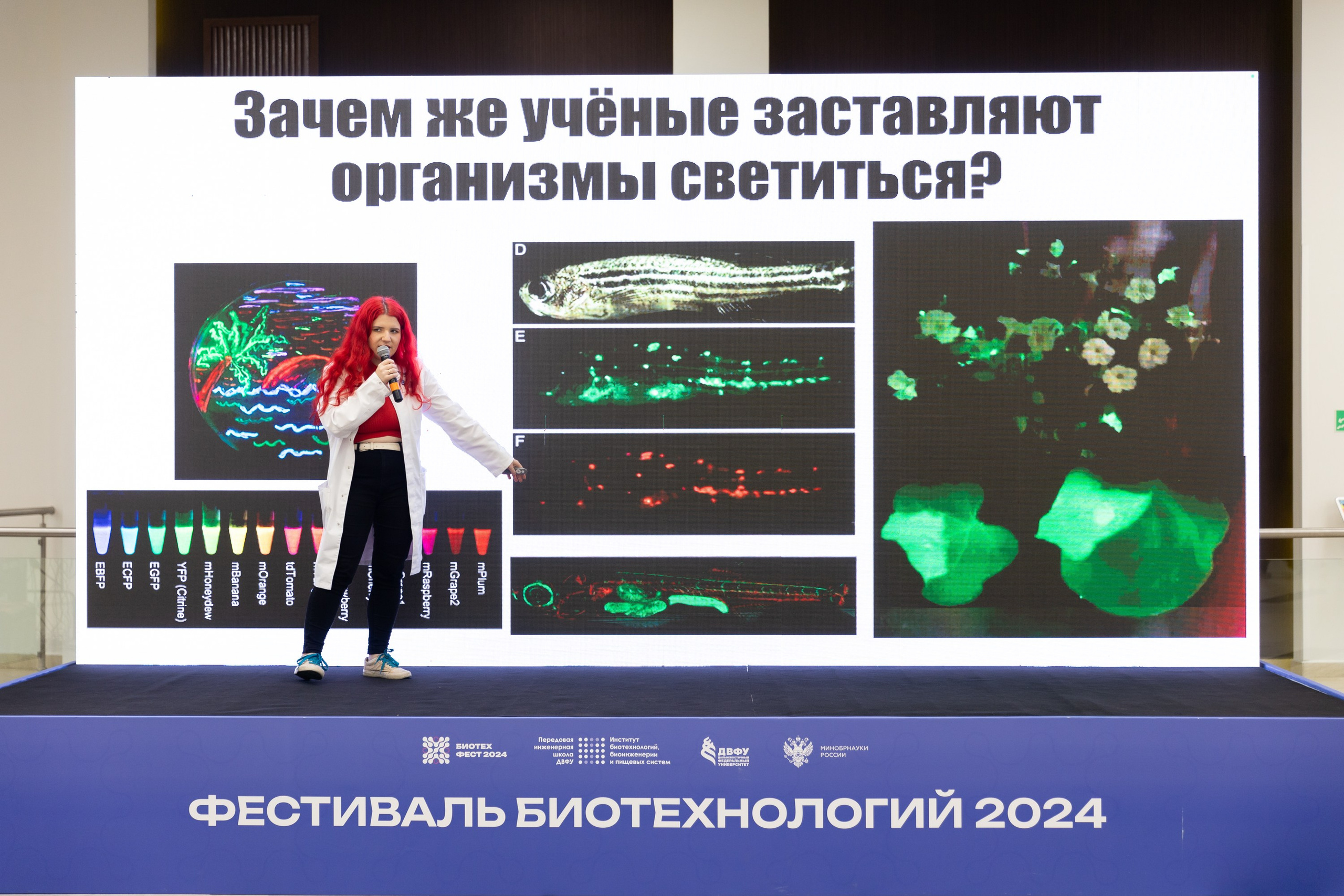 Биотехфест. Репортажный фотограф во Владивостоке