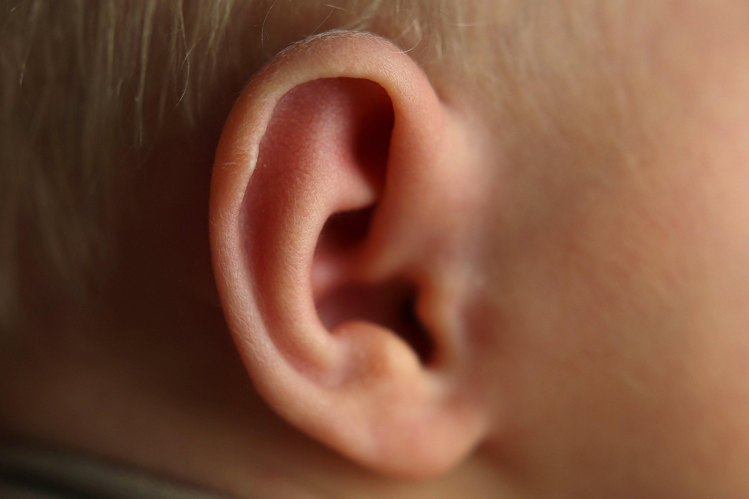 АГАТА (новорожденные). Главная