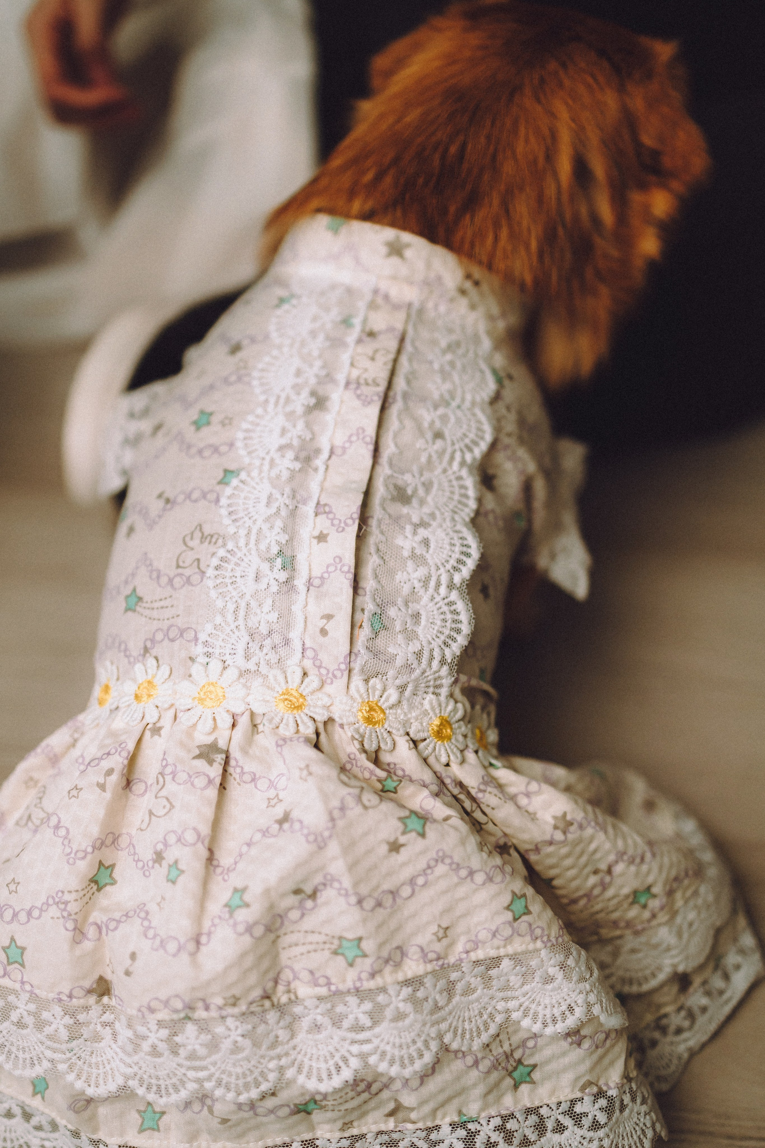 Денис, Василина, Гаврюша и Кнопка