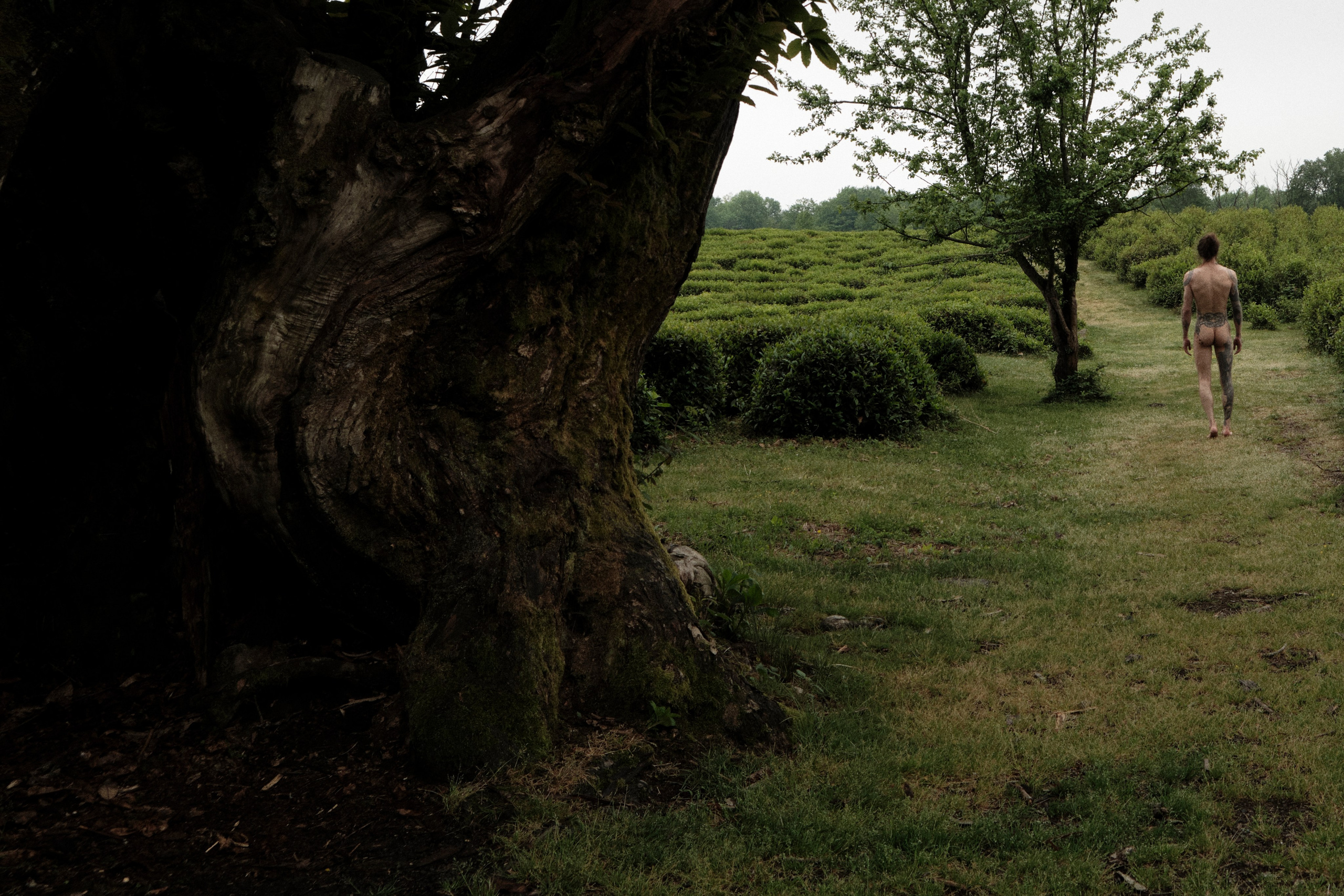 Khosta. Фотограф Настя Лев