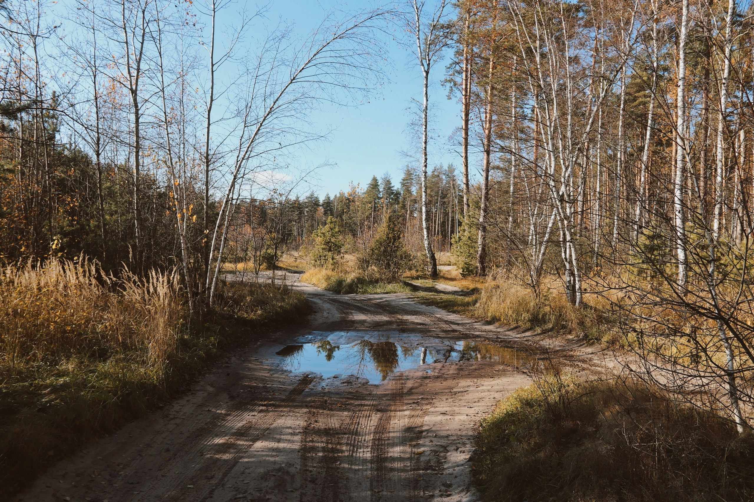 По тропе Паустовского. С любовью, фотохудожник