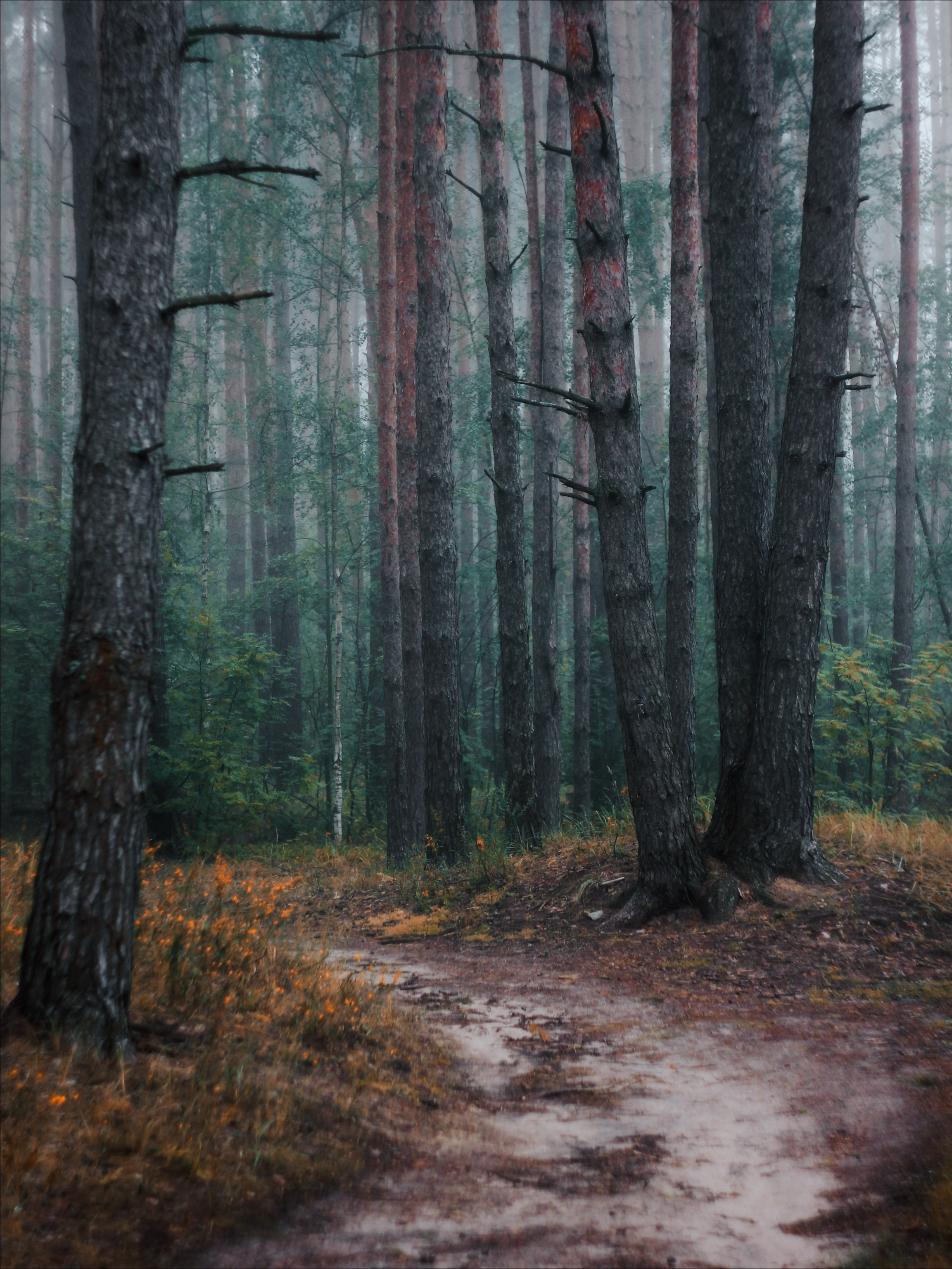Меланхолия августа. С любовью, фотохудожник