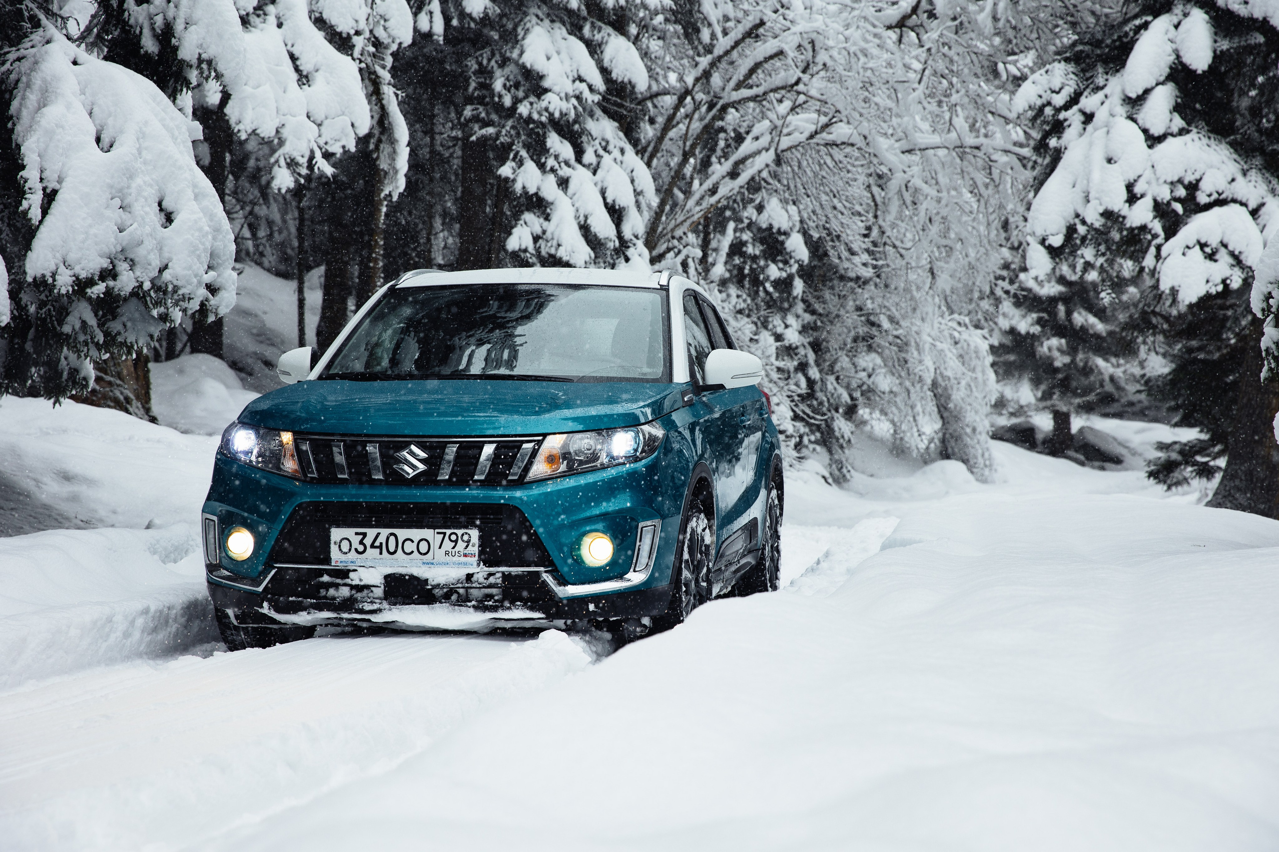 SUZUKI. Вадим Ветров