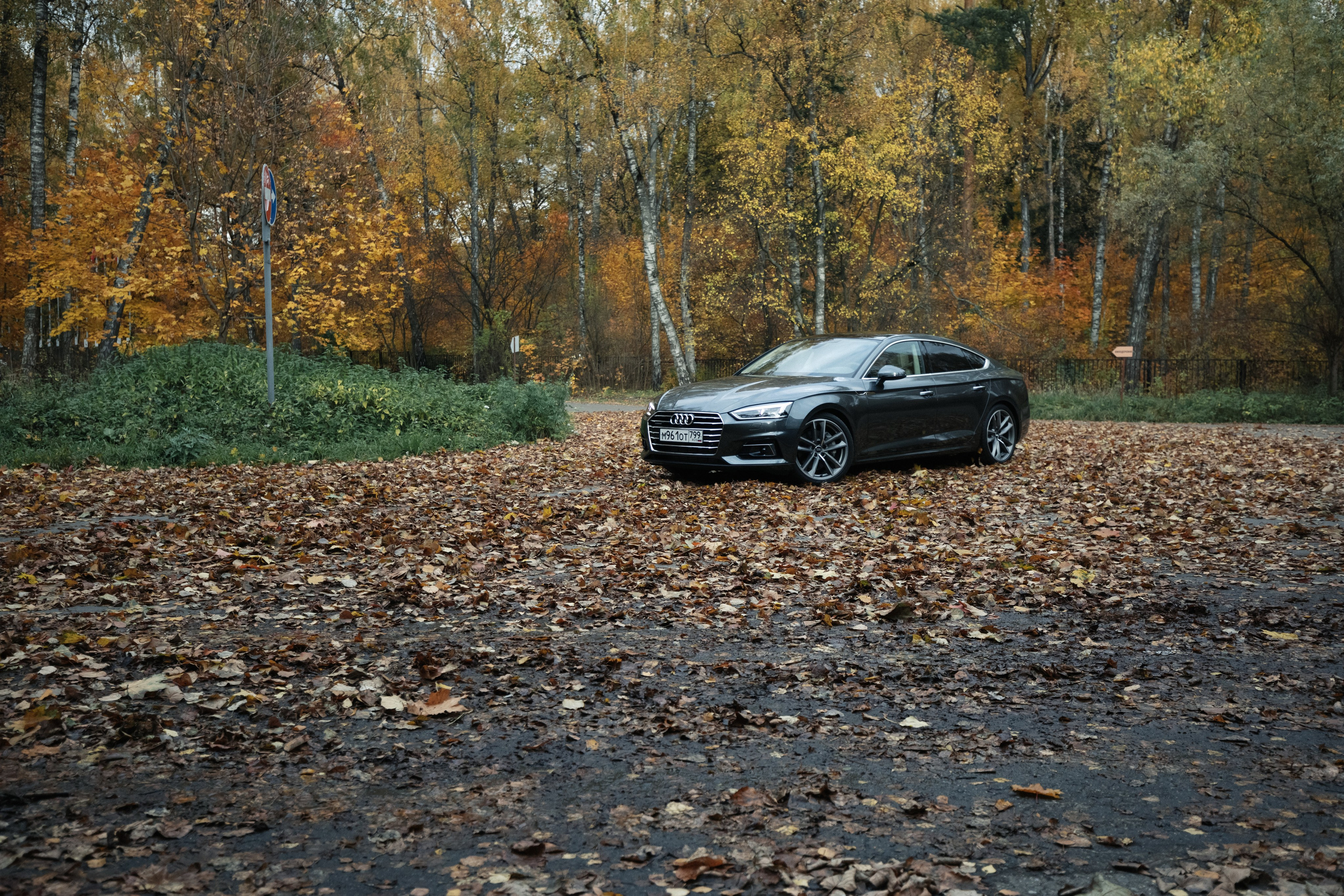 AUDI. Вадим Ветров