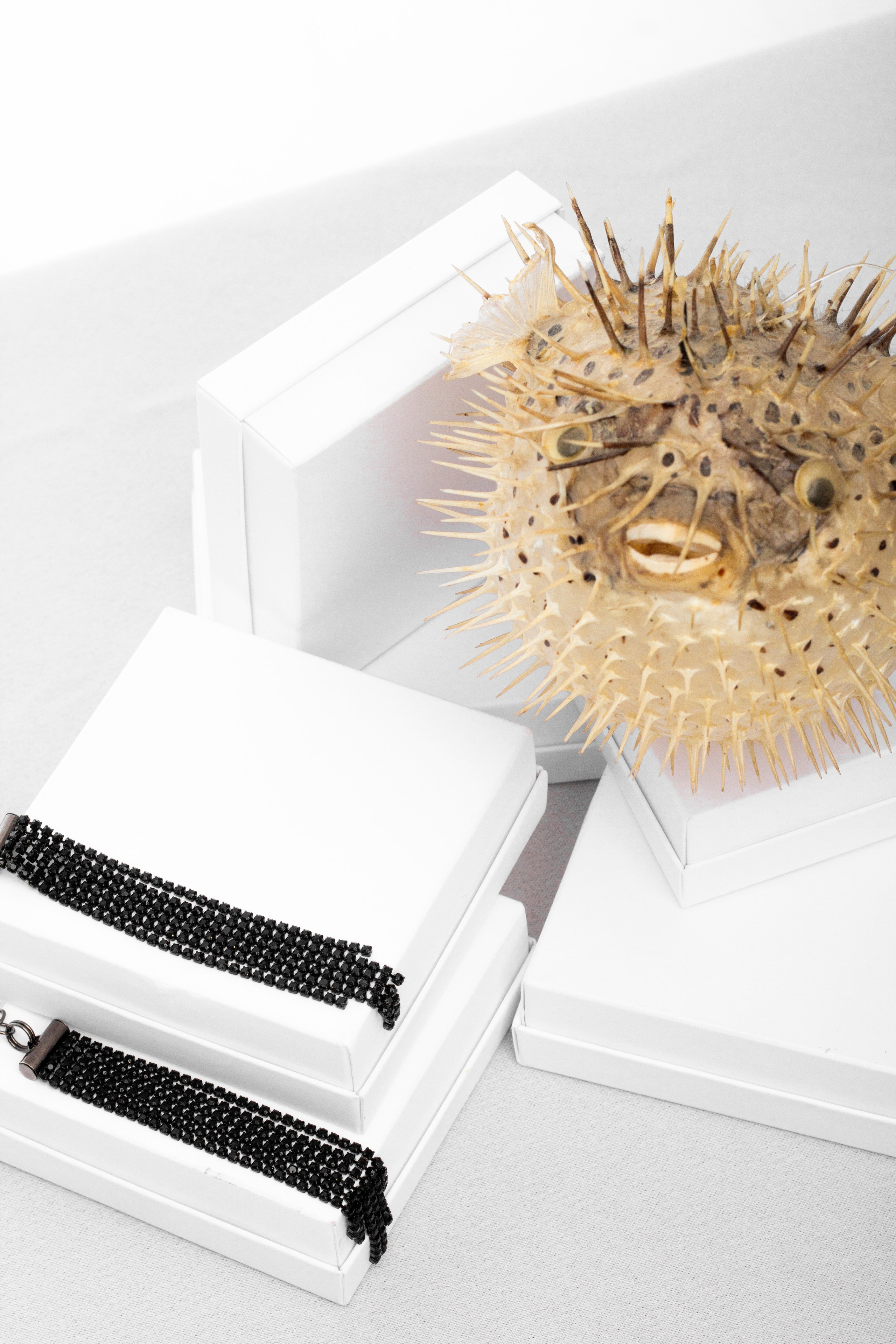 Бижутерия. Концептуальный фотограф Шлыкова Ольга