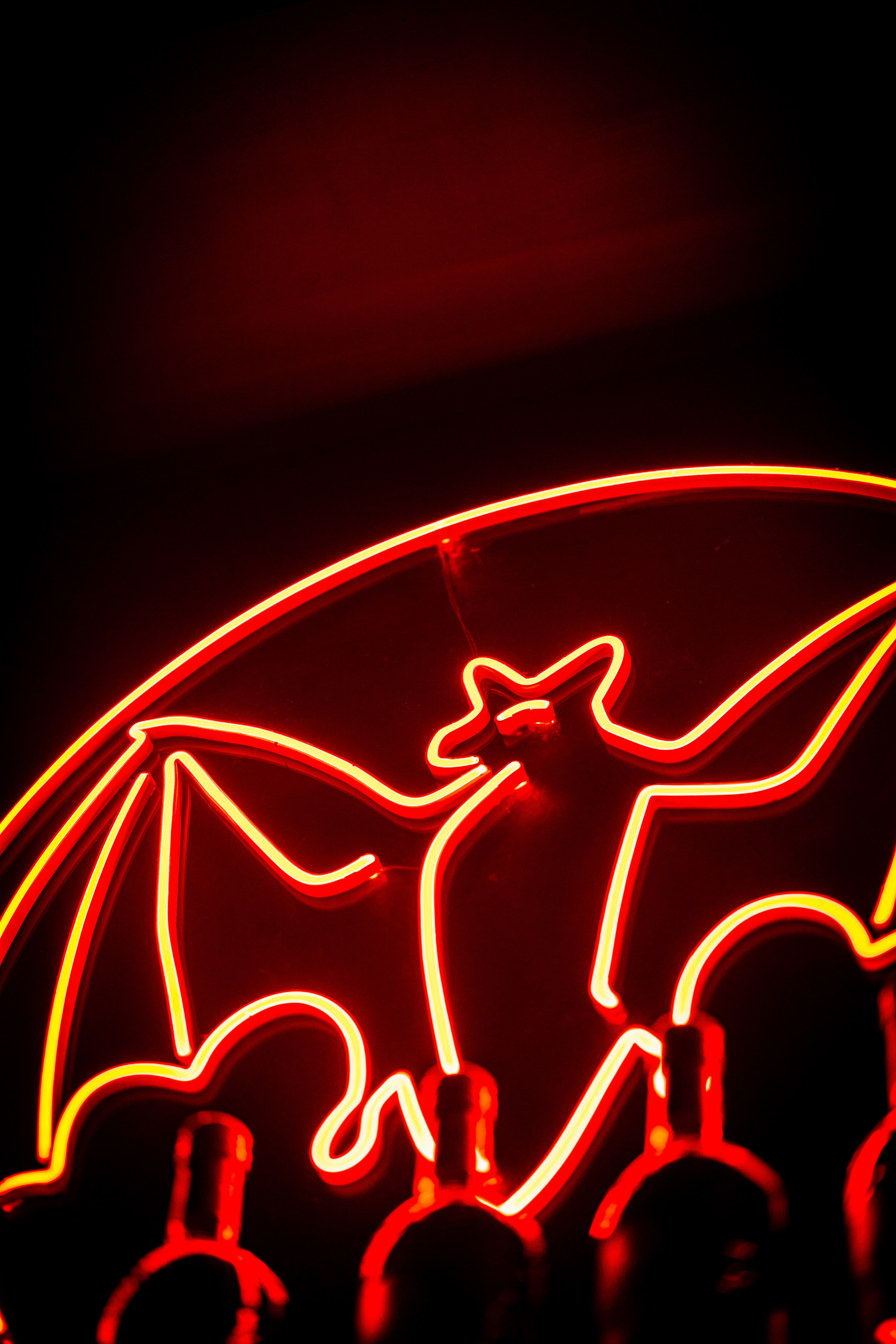 Rooks 14.12 HB. Анастасия Паршукова — фотограф Шерегеш Новосибирск