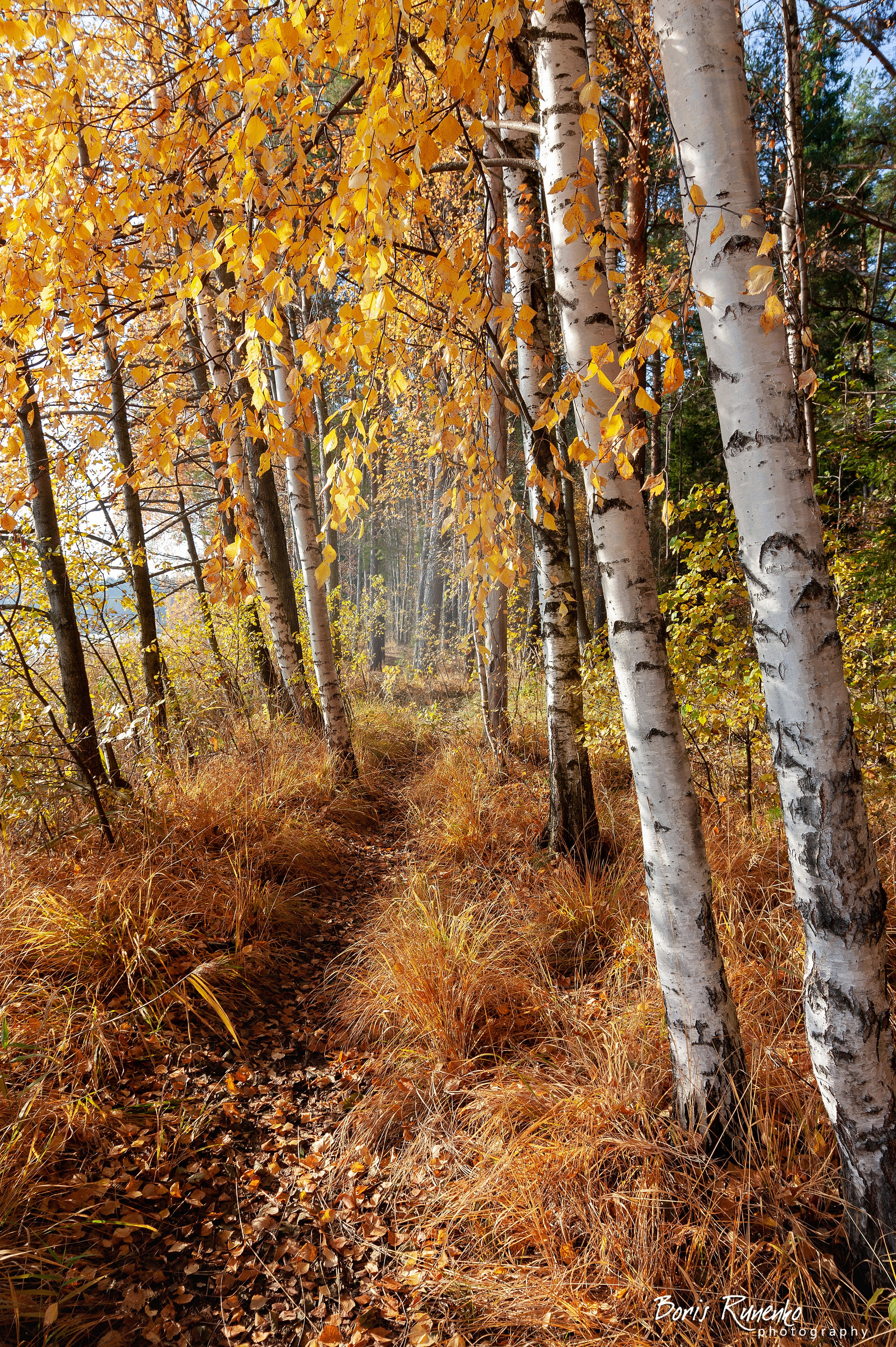 Пейзажный альбом 1. Борис Руненко. Пейзажный и travel-фотограф