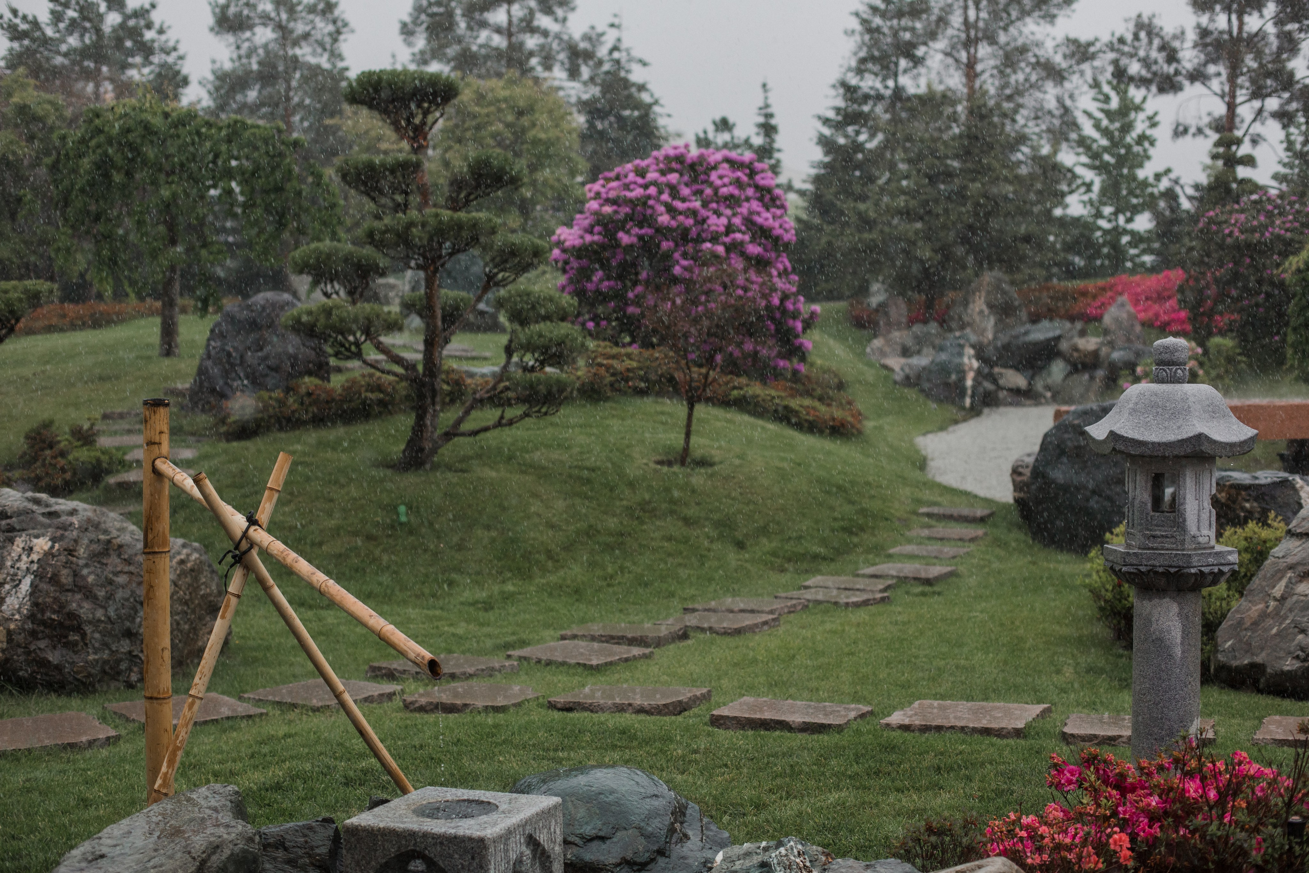 Татьяна и Андрей. Свадебный и семейный фотограф в Краснодаре