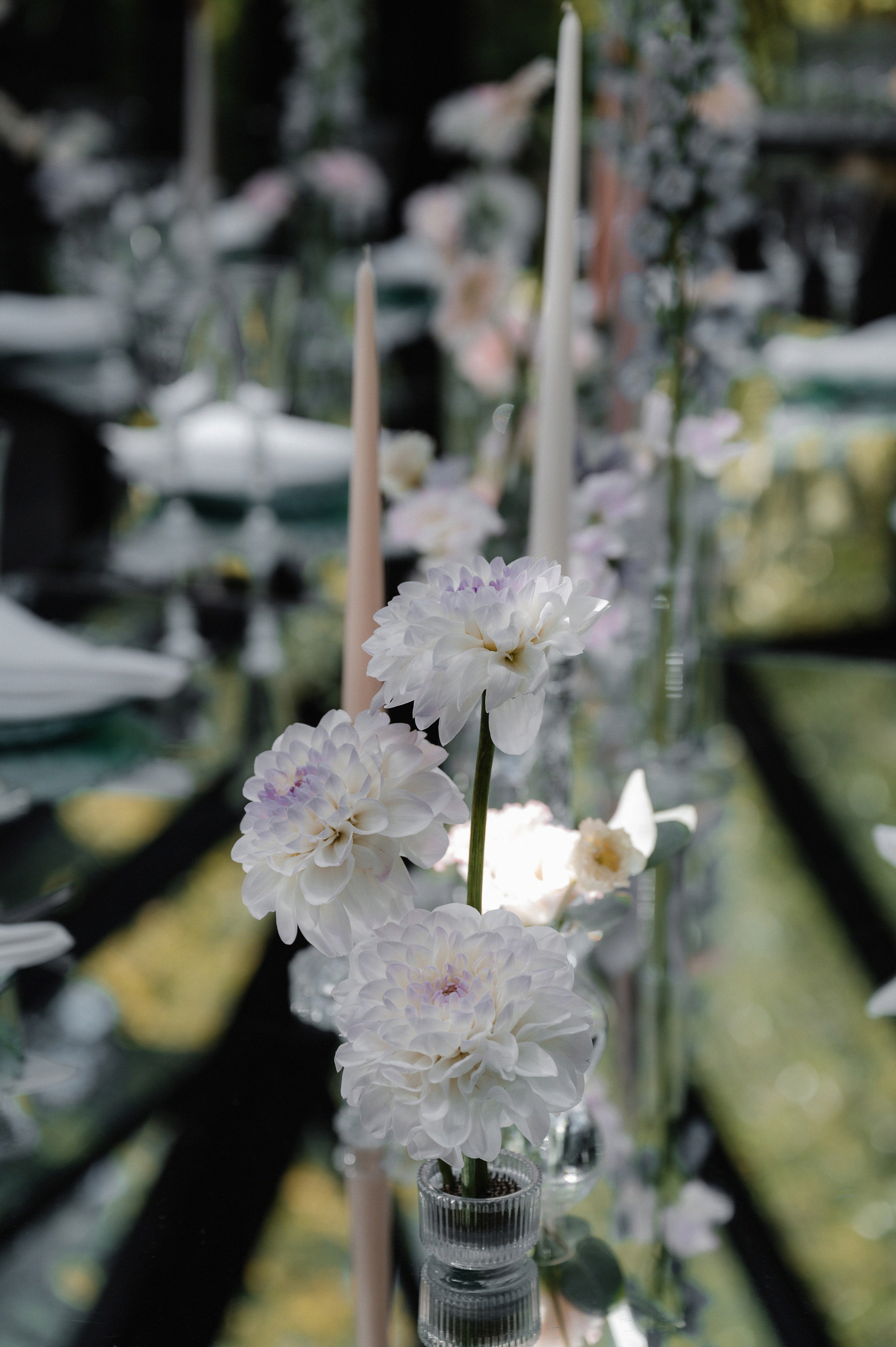 Полина и Александр.Forest Dew. Свадебный фотограф Раменское-Москва