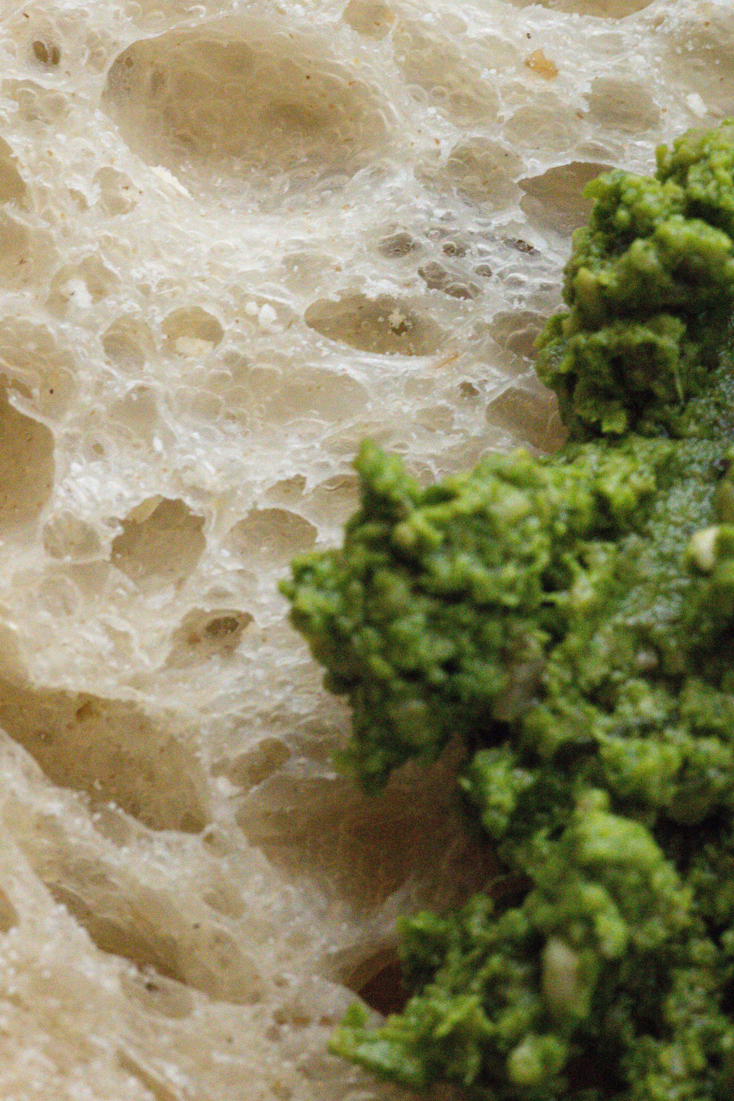 Bary Coffee. Фотограф на Юге России