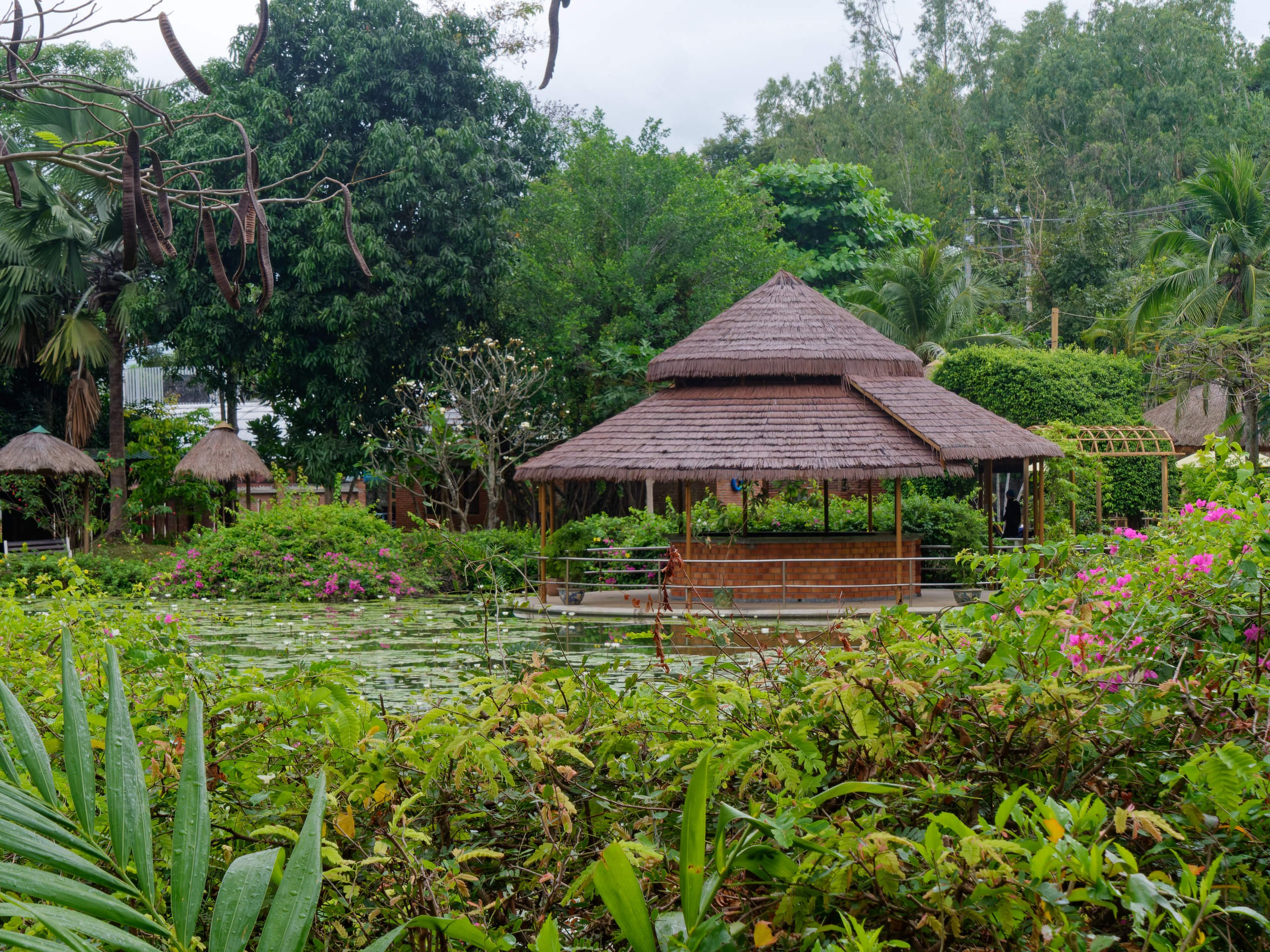 Нячанг 2025 (4). Избранные фотографии