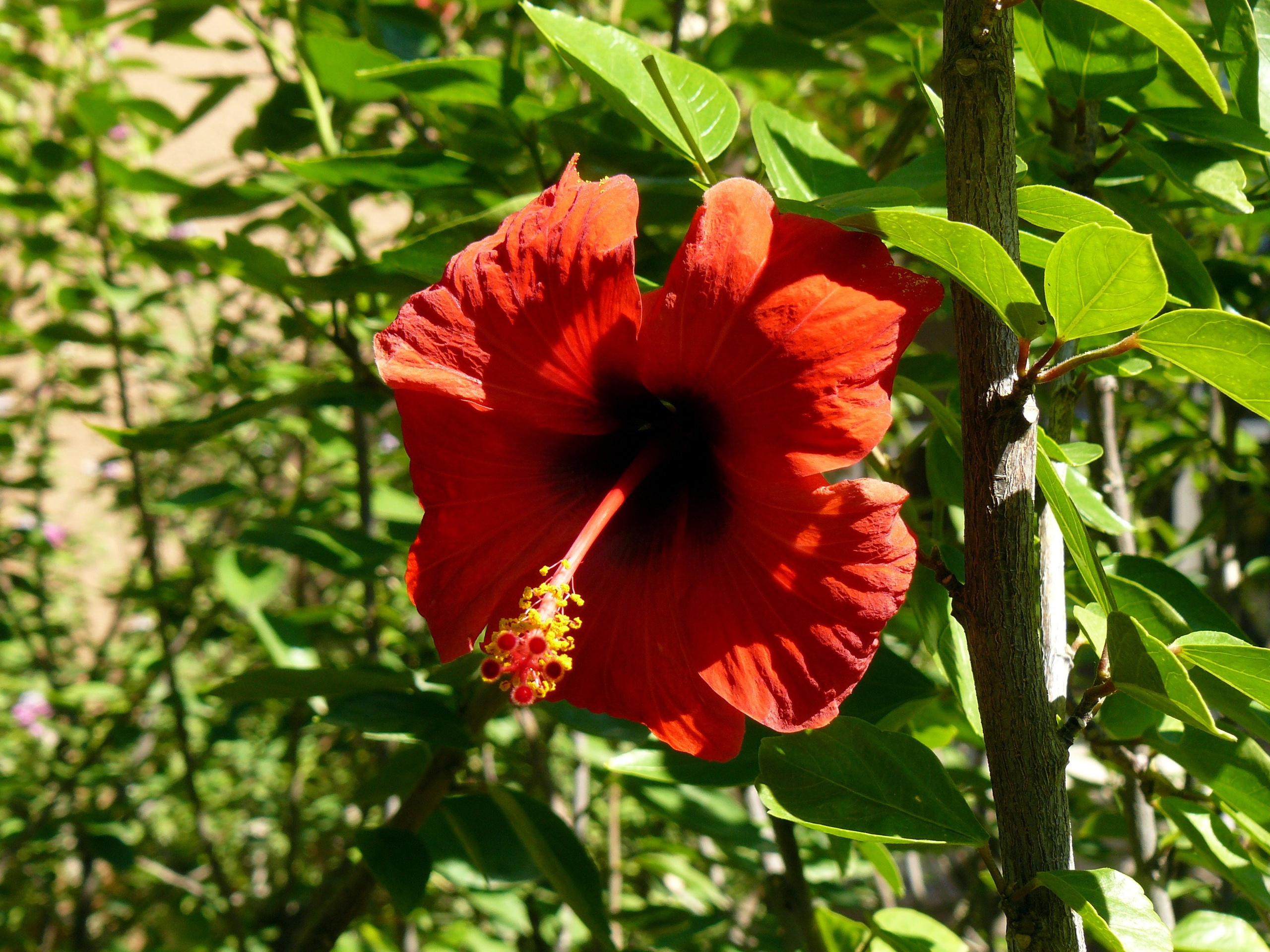 Кемер, Чамьюва 2008. Избранные фотографии