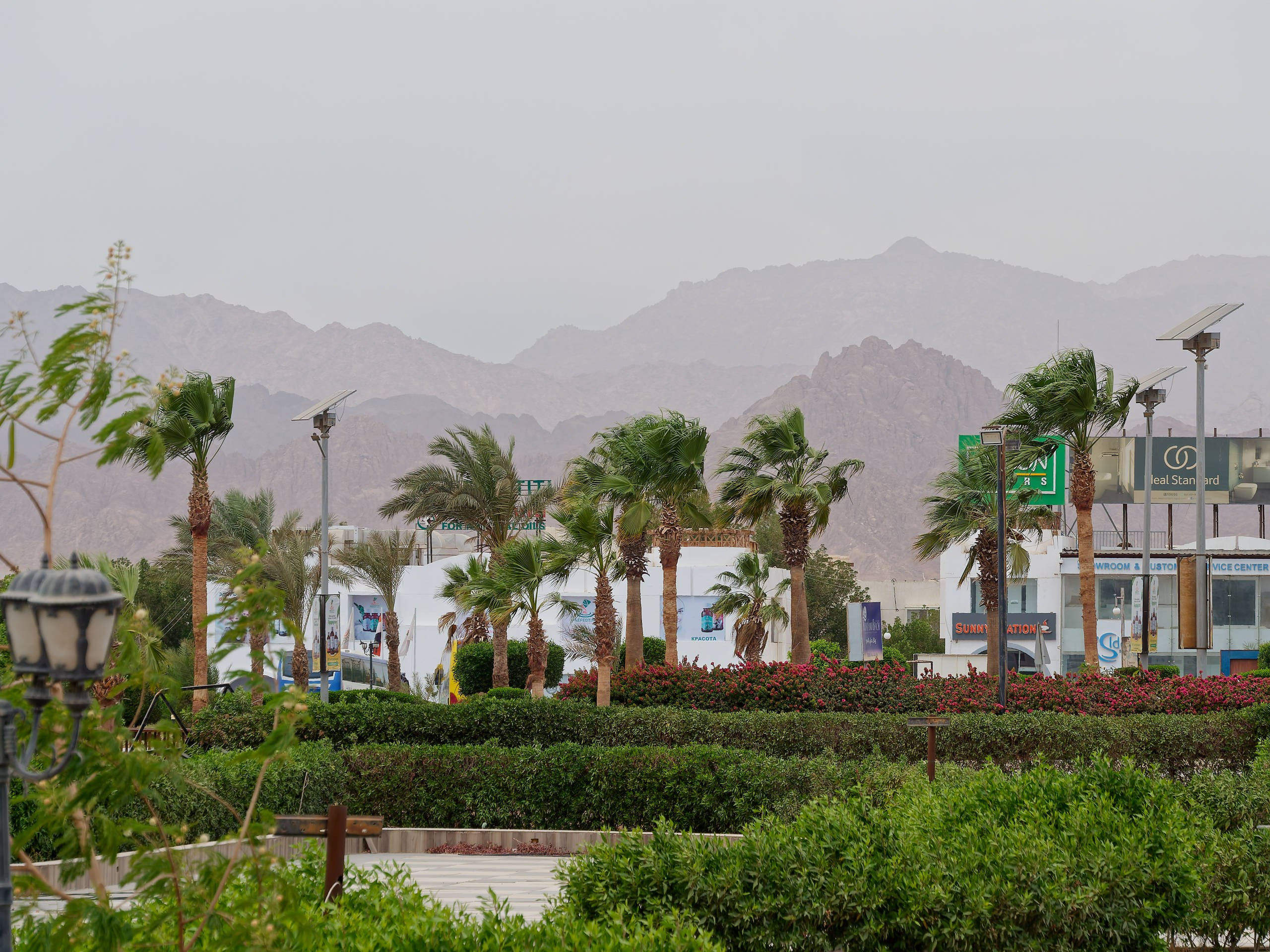 Шарм-эль-Шейх 2022 (1). Избранные фотографии