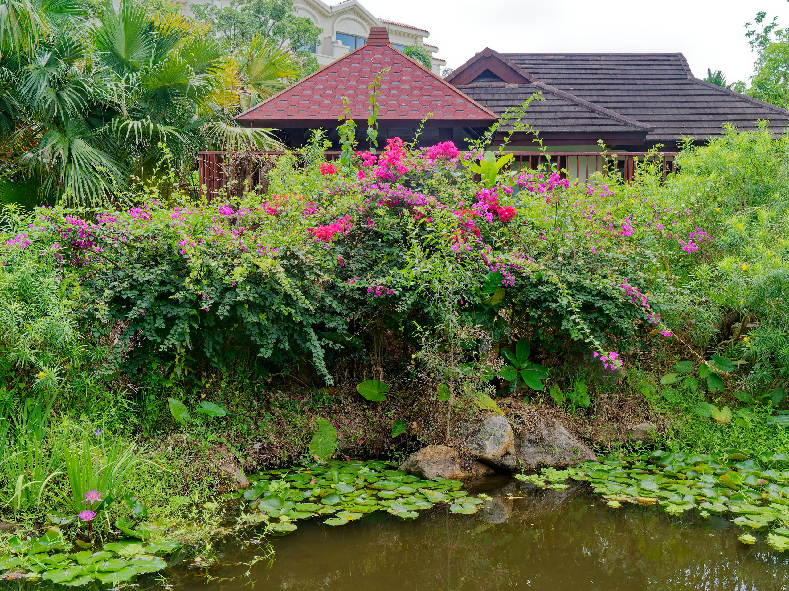 Хайнань 2026, отель «Stony Brook Villa Jianguo Resort Sanya 4*». Фотопрогулки по Миру