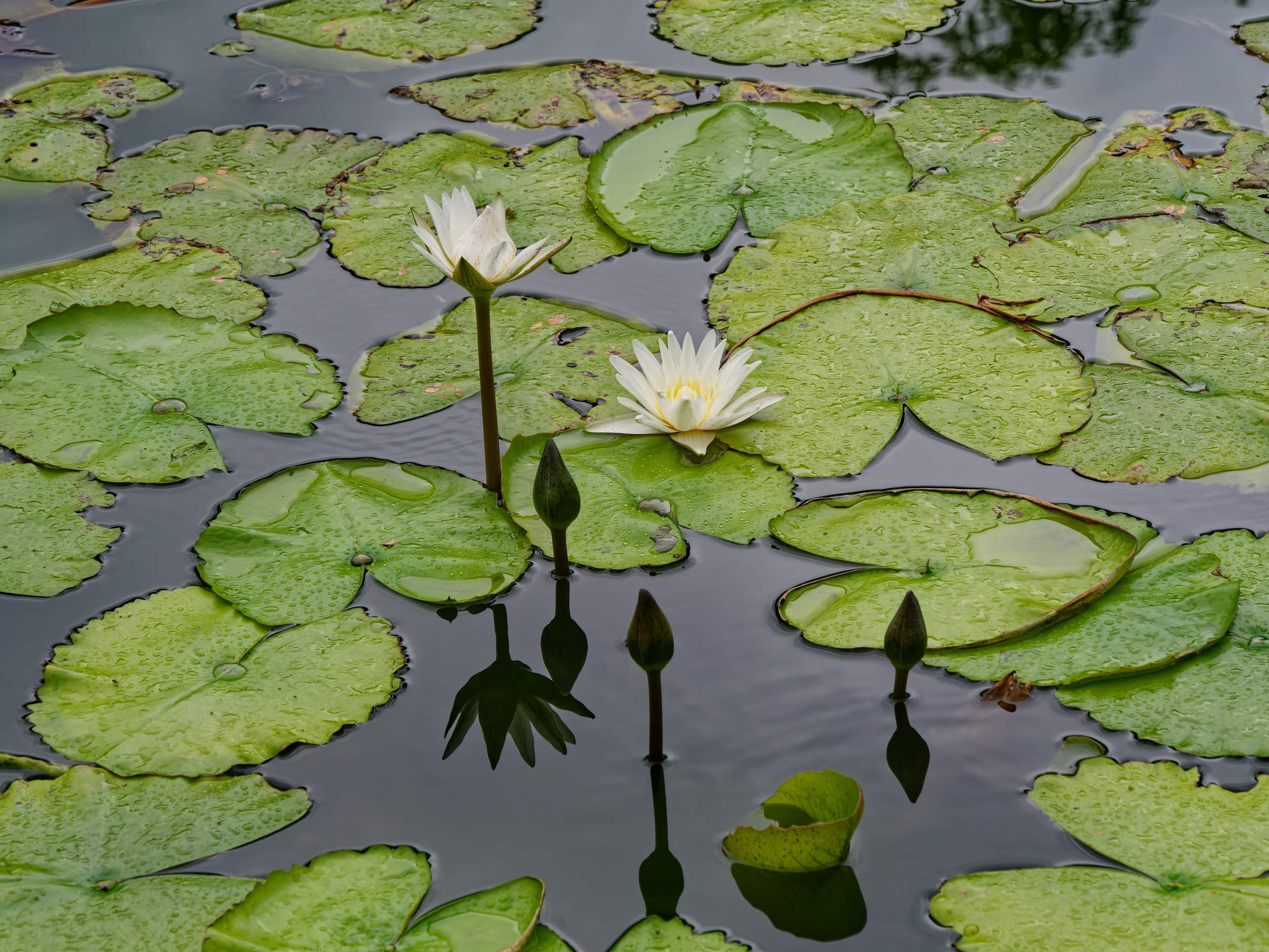 Нячанг 2025 (4). Избранные фотографии