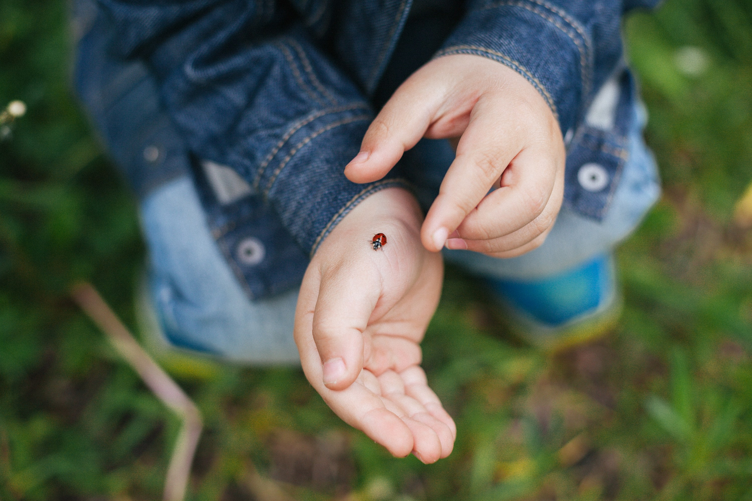 Детские съемки. Aourica — Фотограф Ольга, Санкт-Петербург, Москва, Гагарин