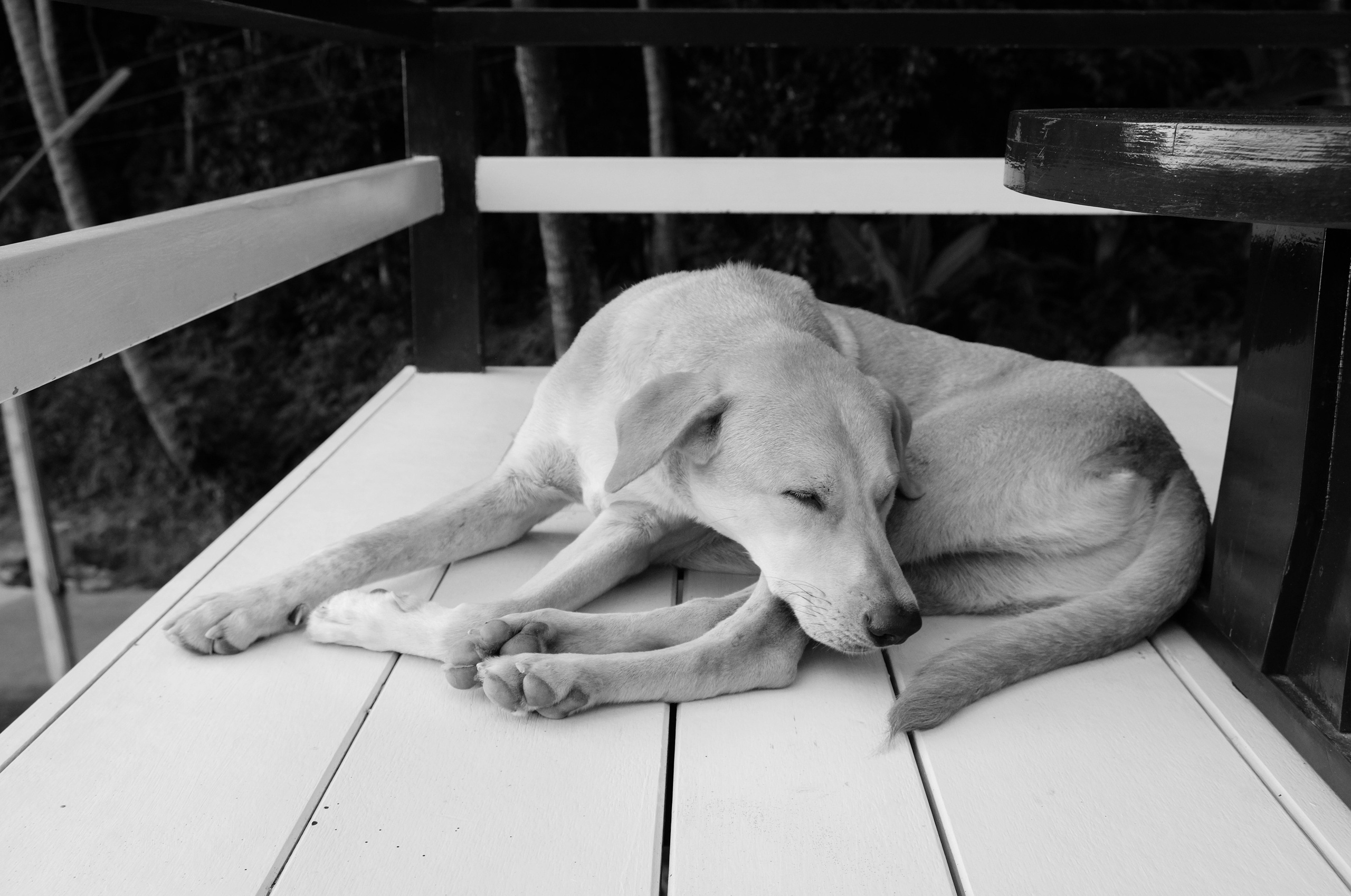 Street/ Thailand/ 2020. Анна Федо Фото