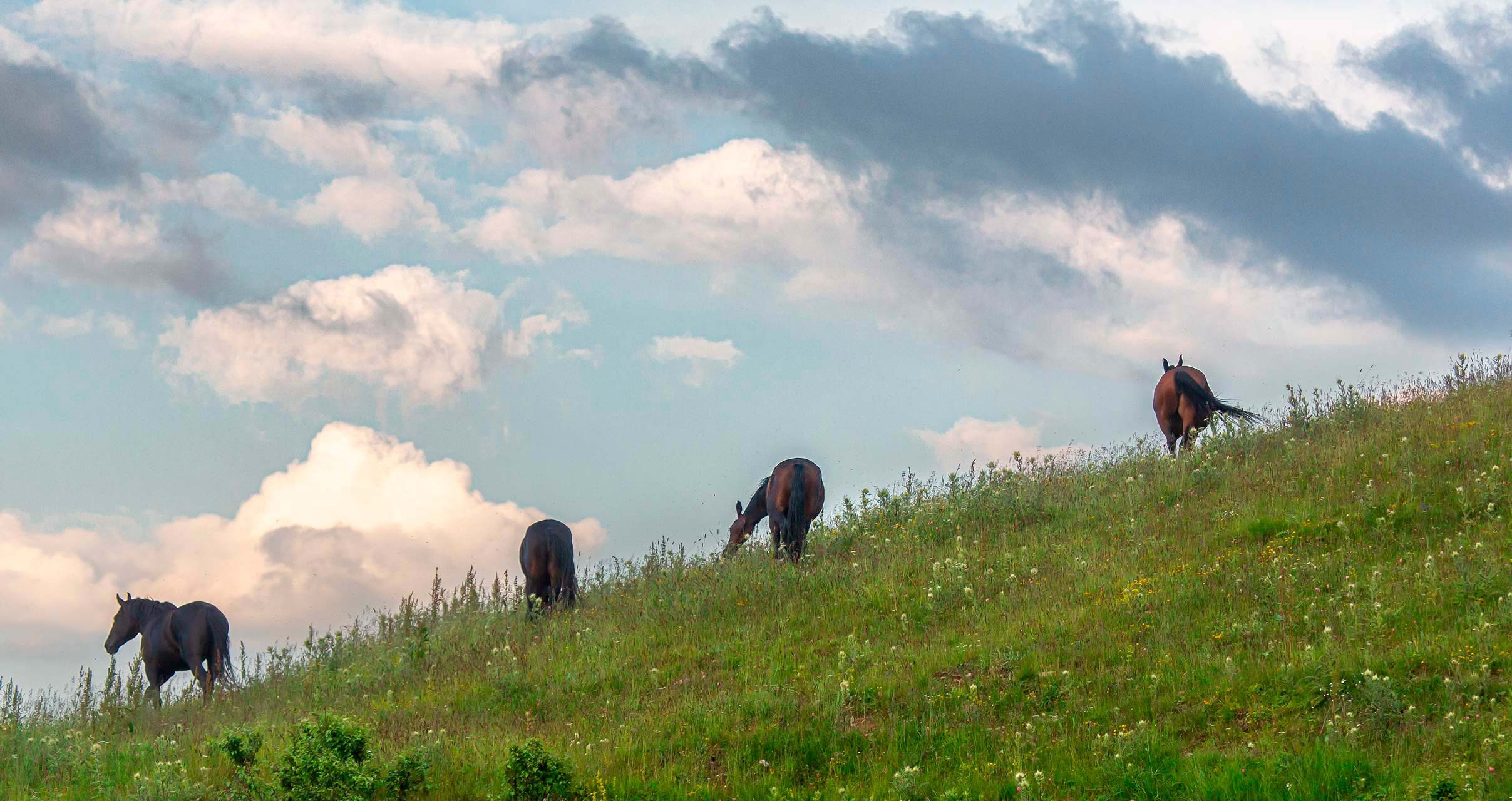 Приэльбрусье. Yuri Ovchinnikov Photography, St. Petersburg, landscape photography