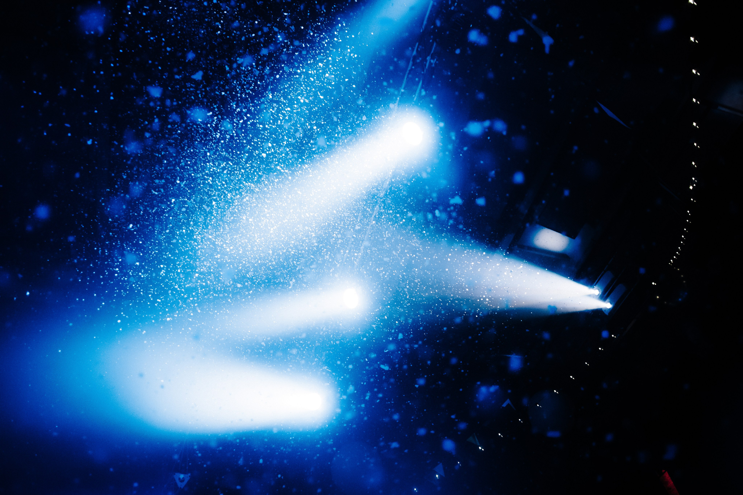 Electric Indians | 27.12.24 | Ласточка