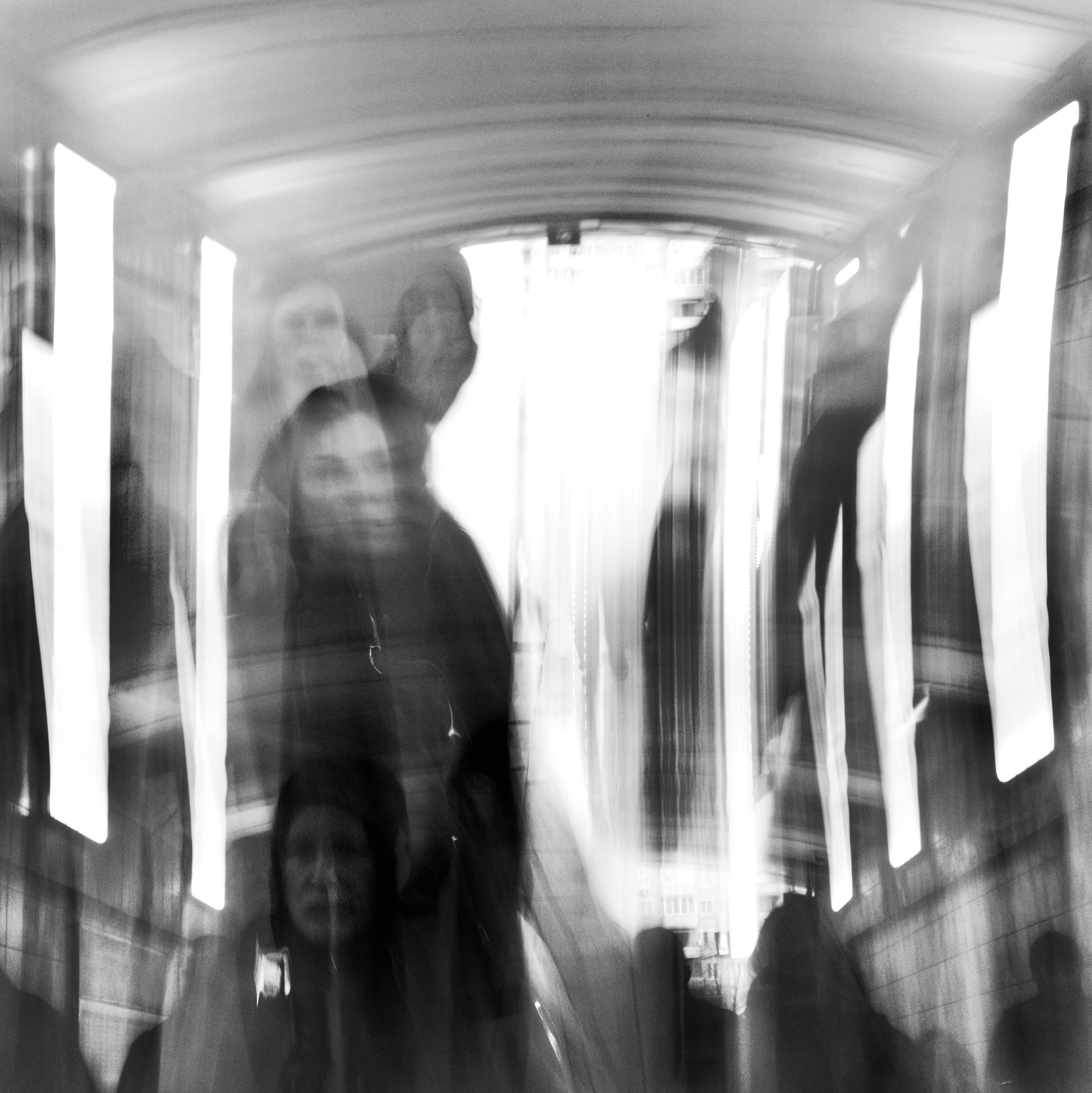 Primavera. Metagraphy