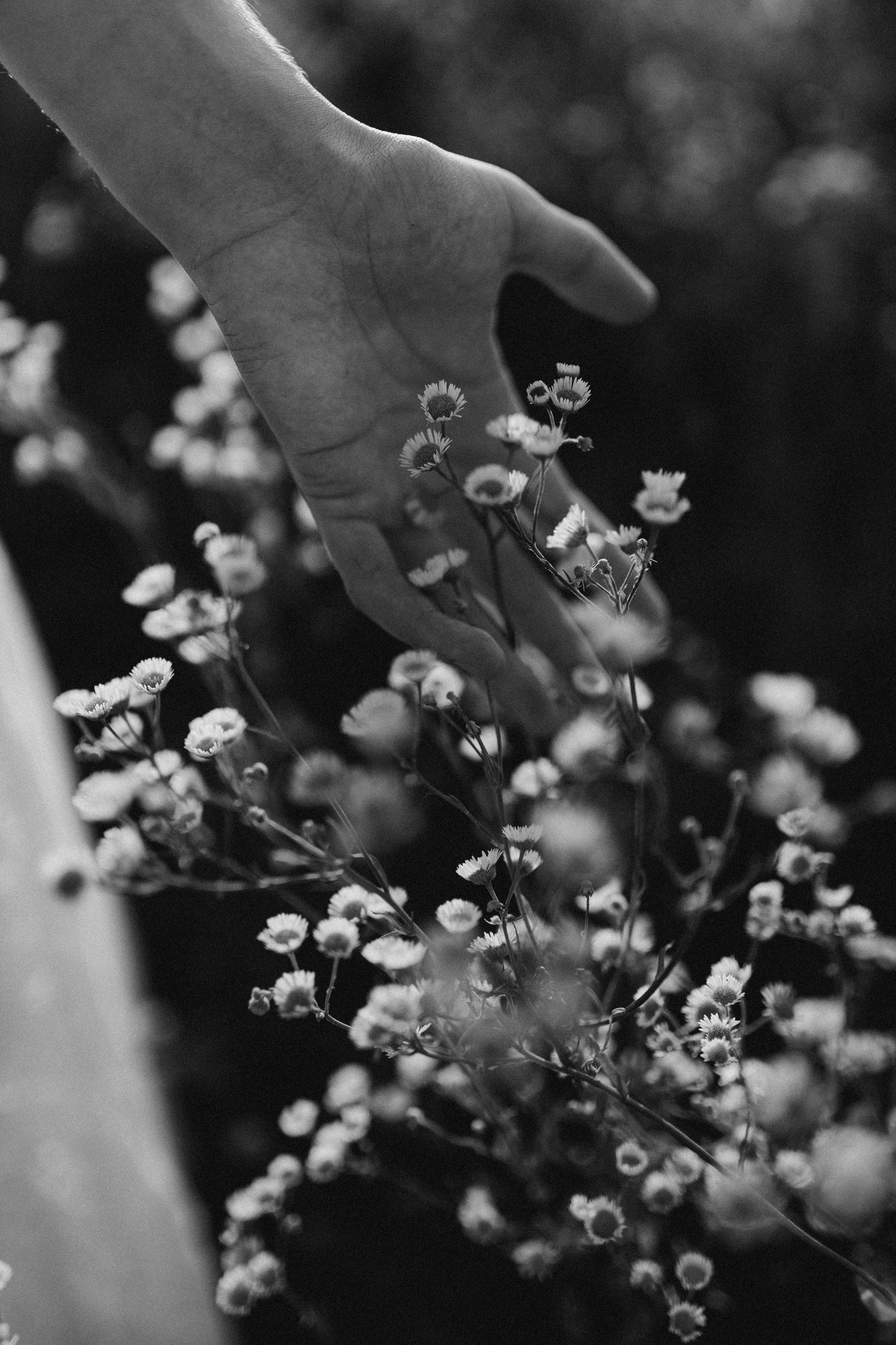 Анастасия. Фотограф НОГИНСК, Москва, Анастасия Белая