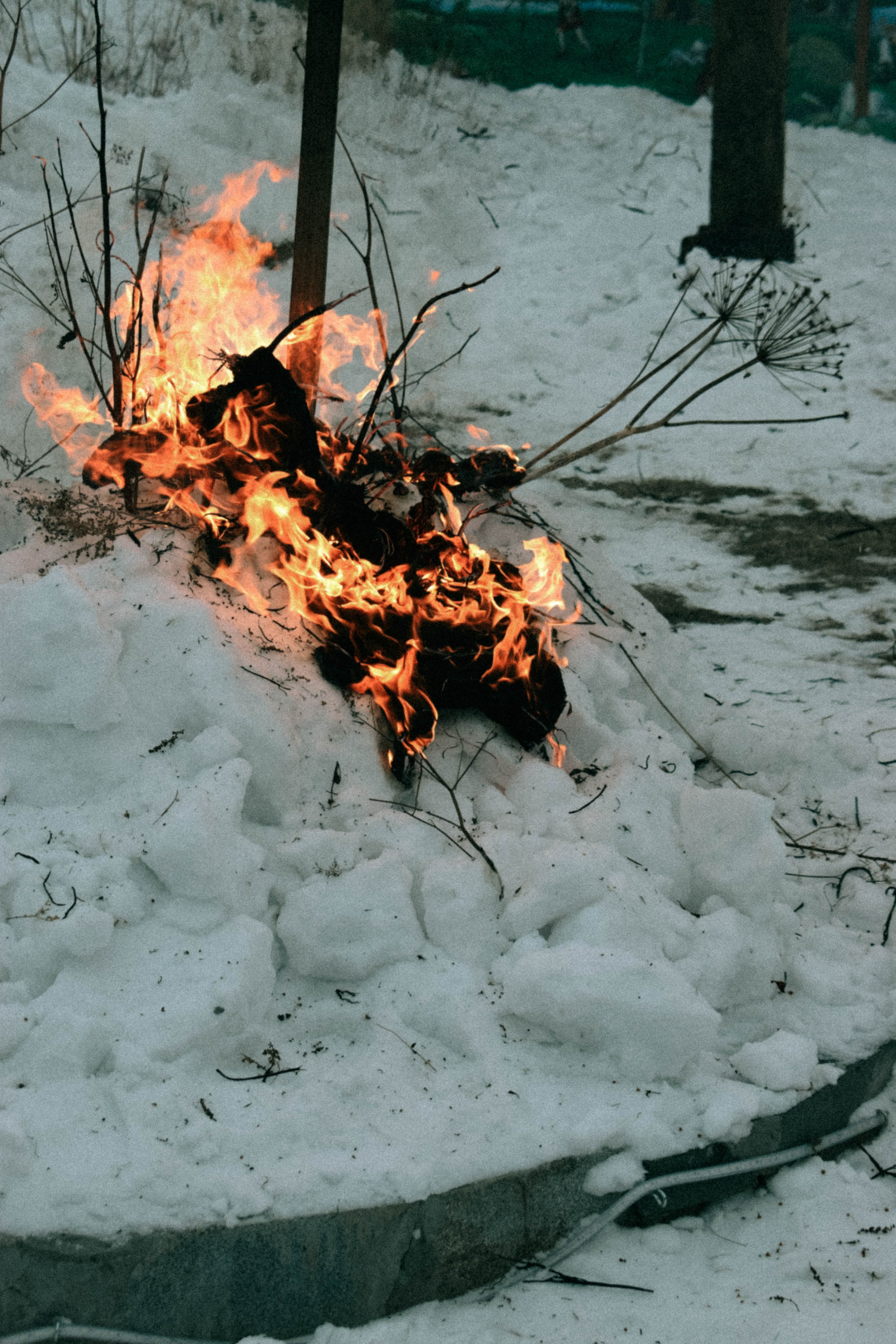 Мероприятия. Соня Мнема