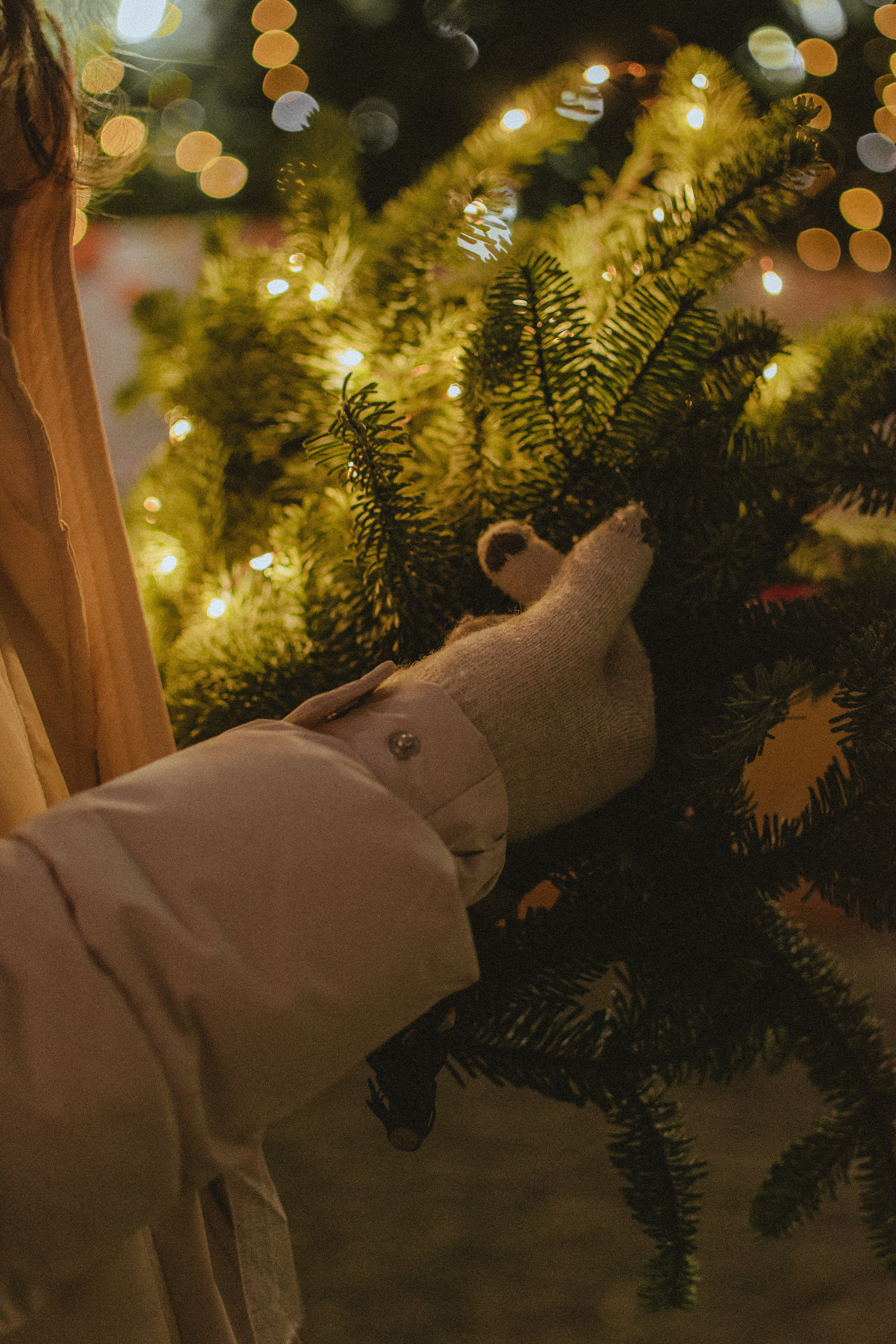 Анна | Новый год. Фотограф Новочеркасск Ольга Мальцева