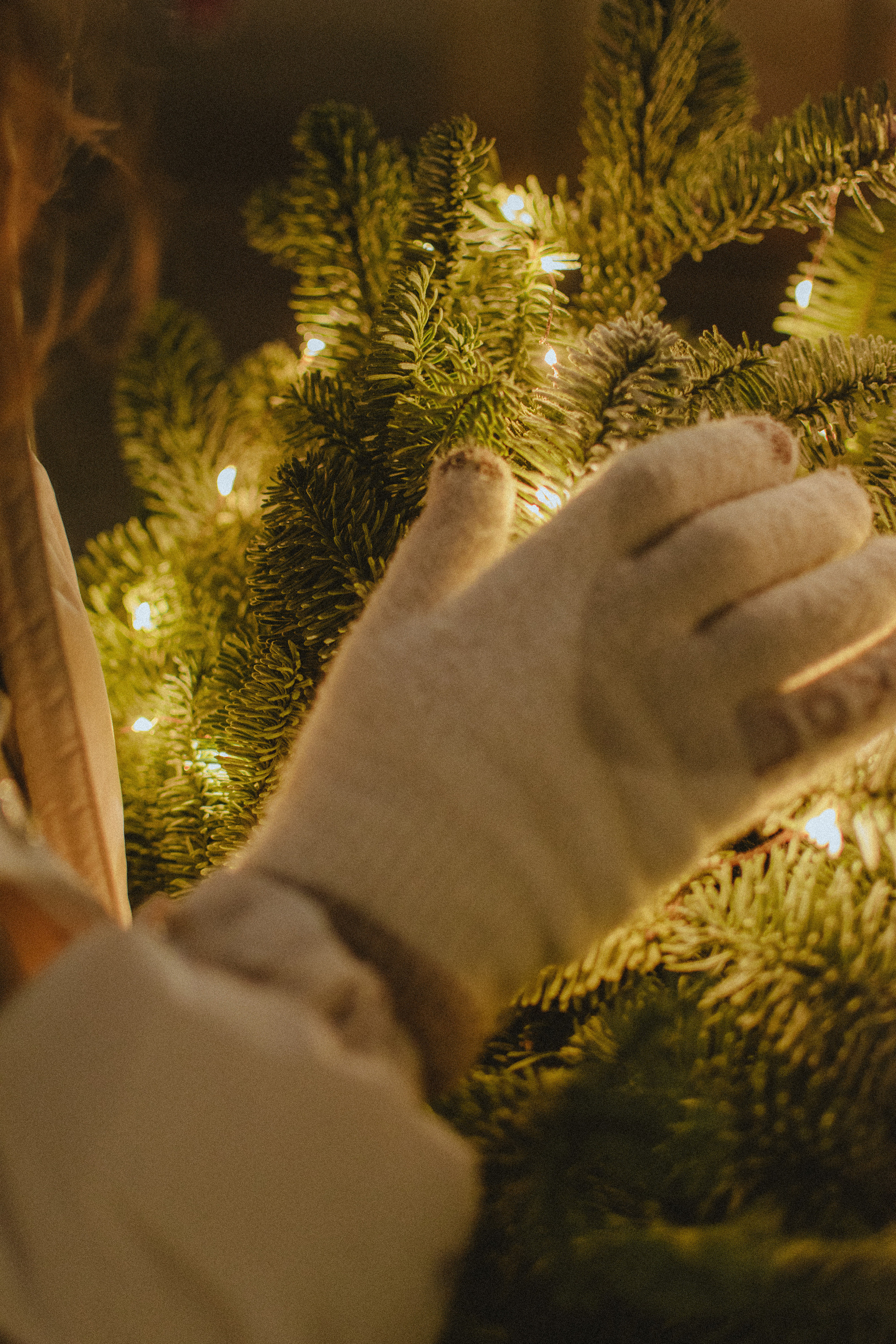 Анна | Новый год. Фотограф Новочеркасск Ольга Мальцева