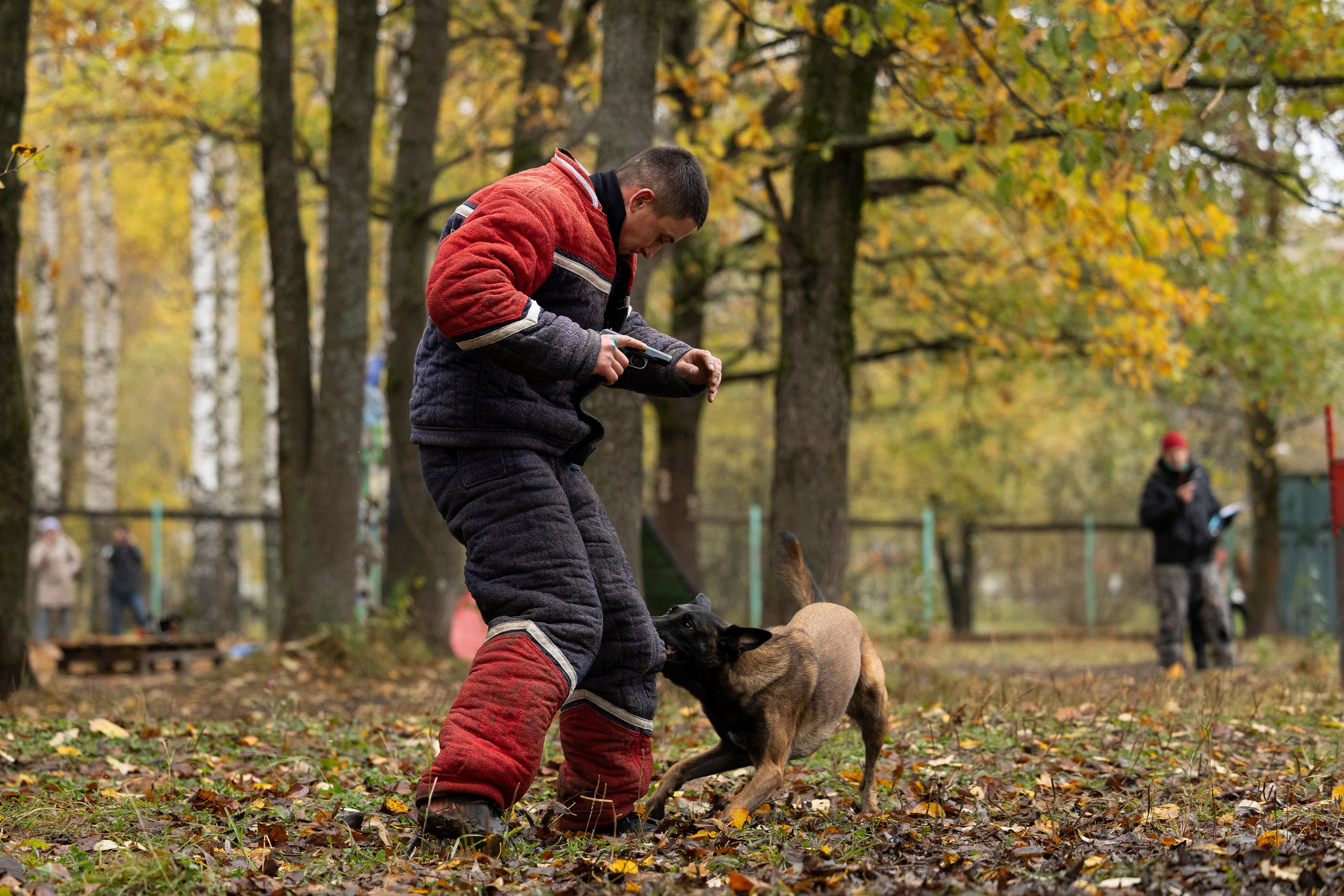 Соревнования по Мондьорингу г. Вологда. Фотограф-анималист Анна Маринич