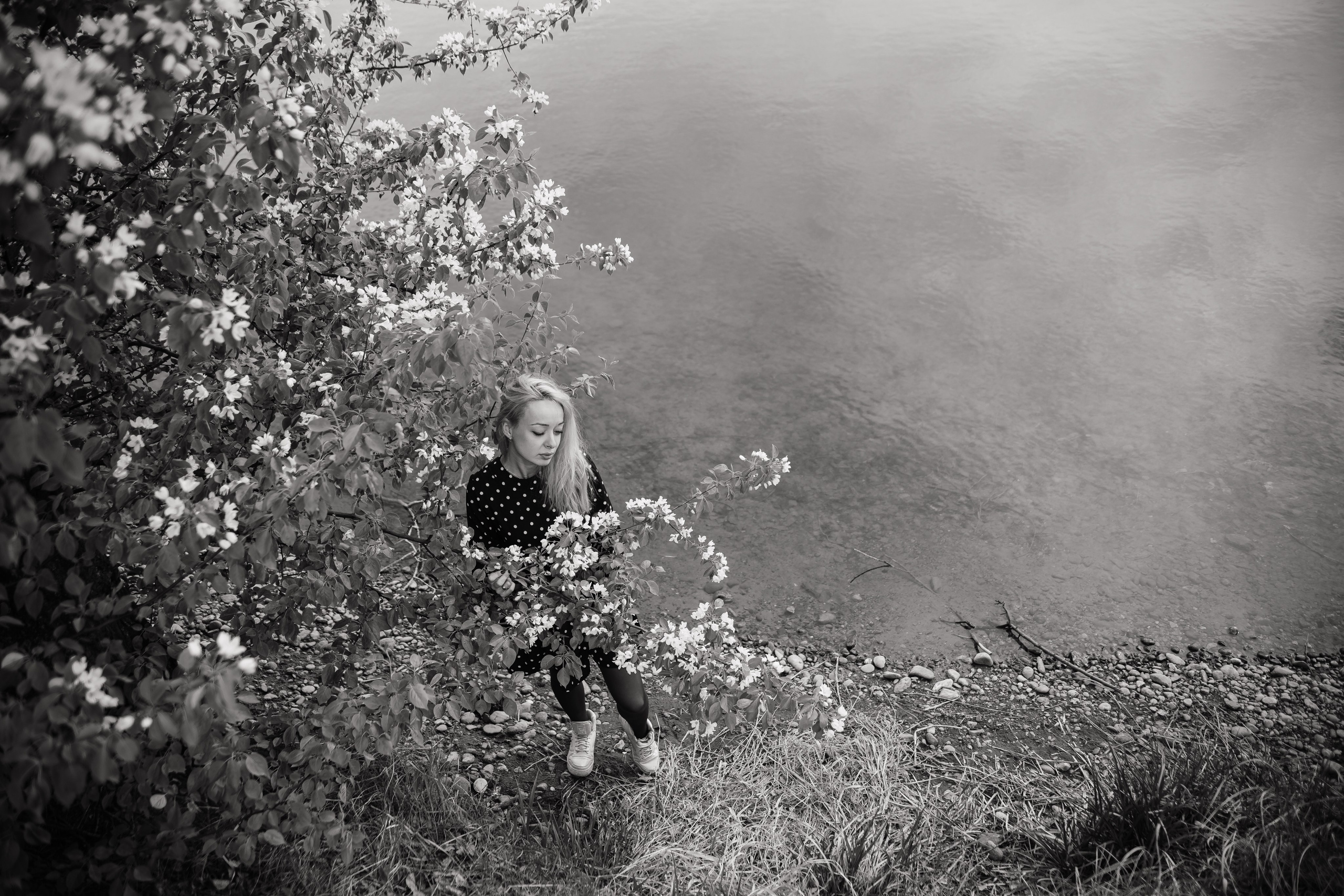 Яблони. Фотограф в Абакане Николай Окунев