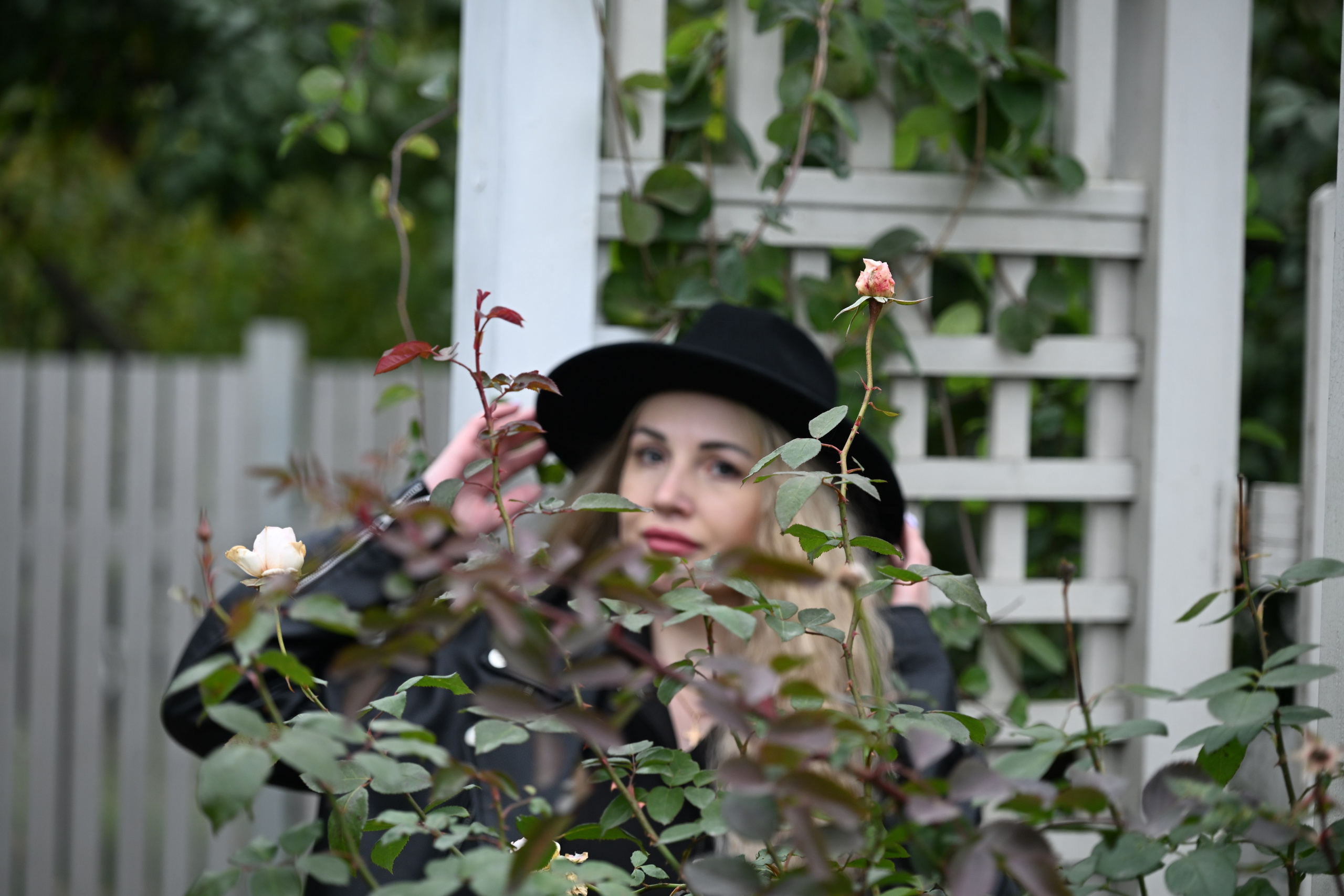 РЕГИНА ОСЕНЬ. Фотограф в Санкт-Петербурге Сафронов Николай