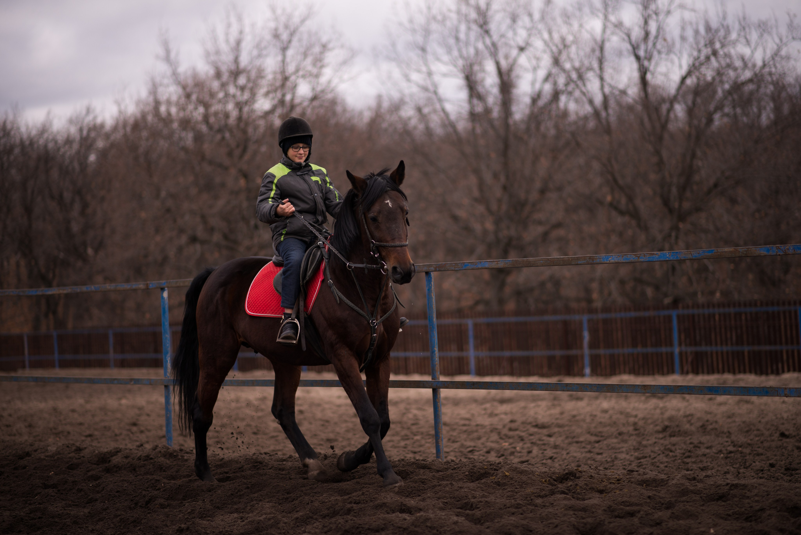 Тренировка с Гайдуком. Конный фотограф в Саратове Юлия Иванова