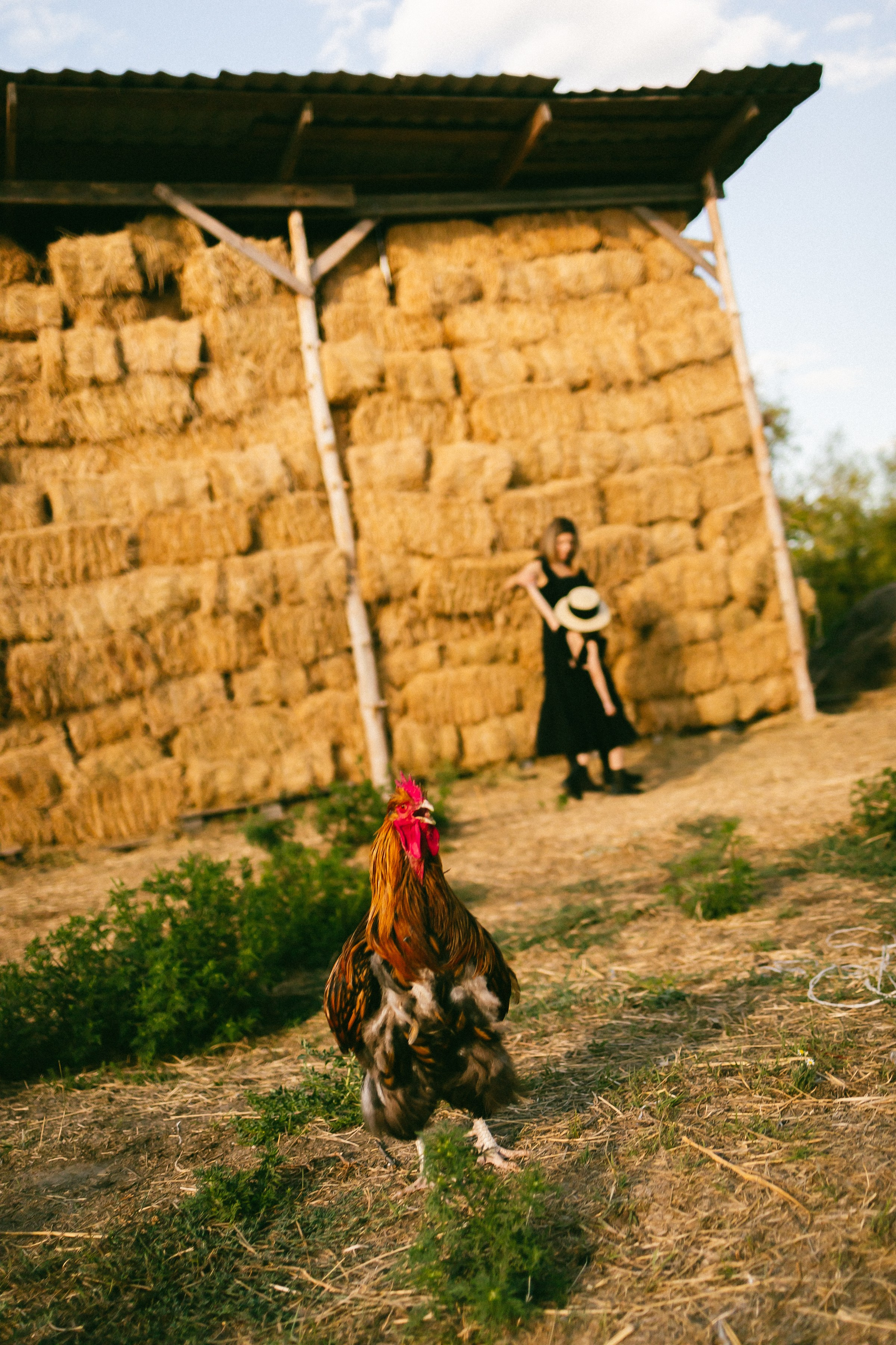 Юля и Алиса. Семейный фотограф в Волгодонске Краченцева Анна