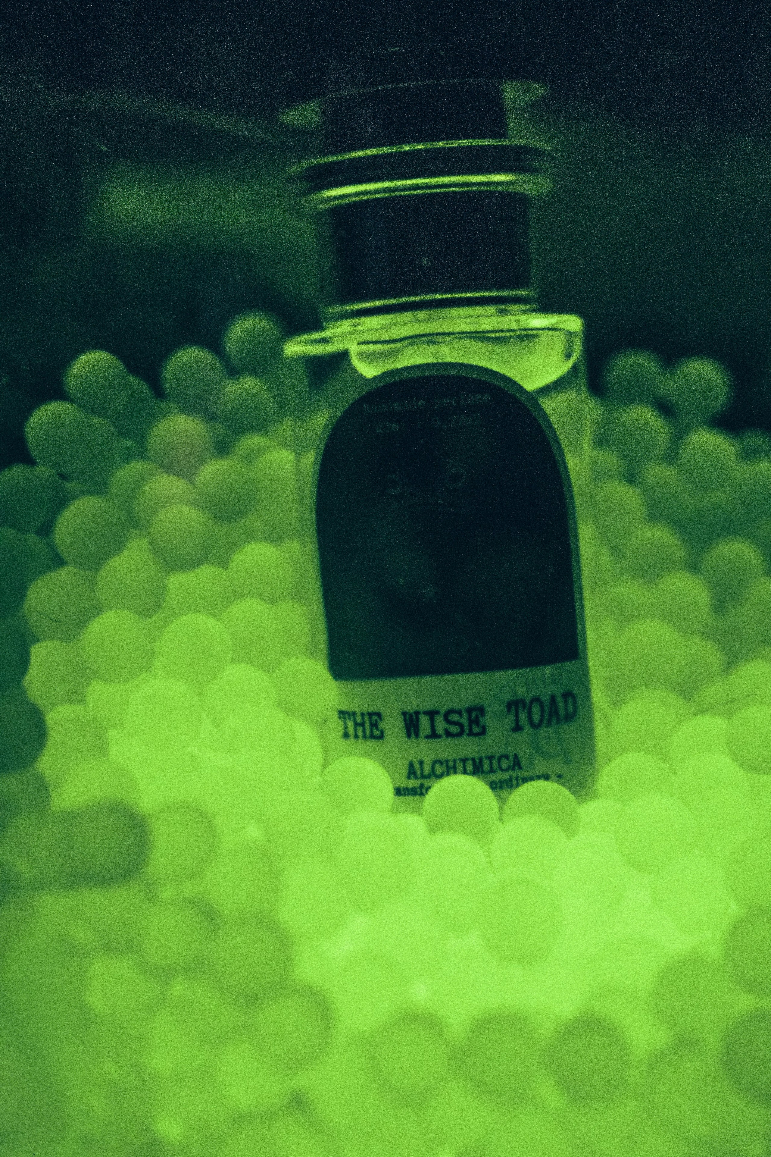 FRAGRANCE. Анна Ульянова