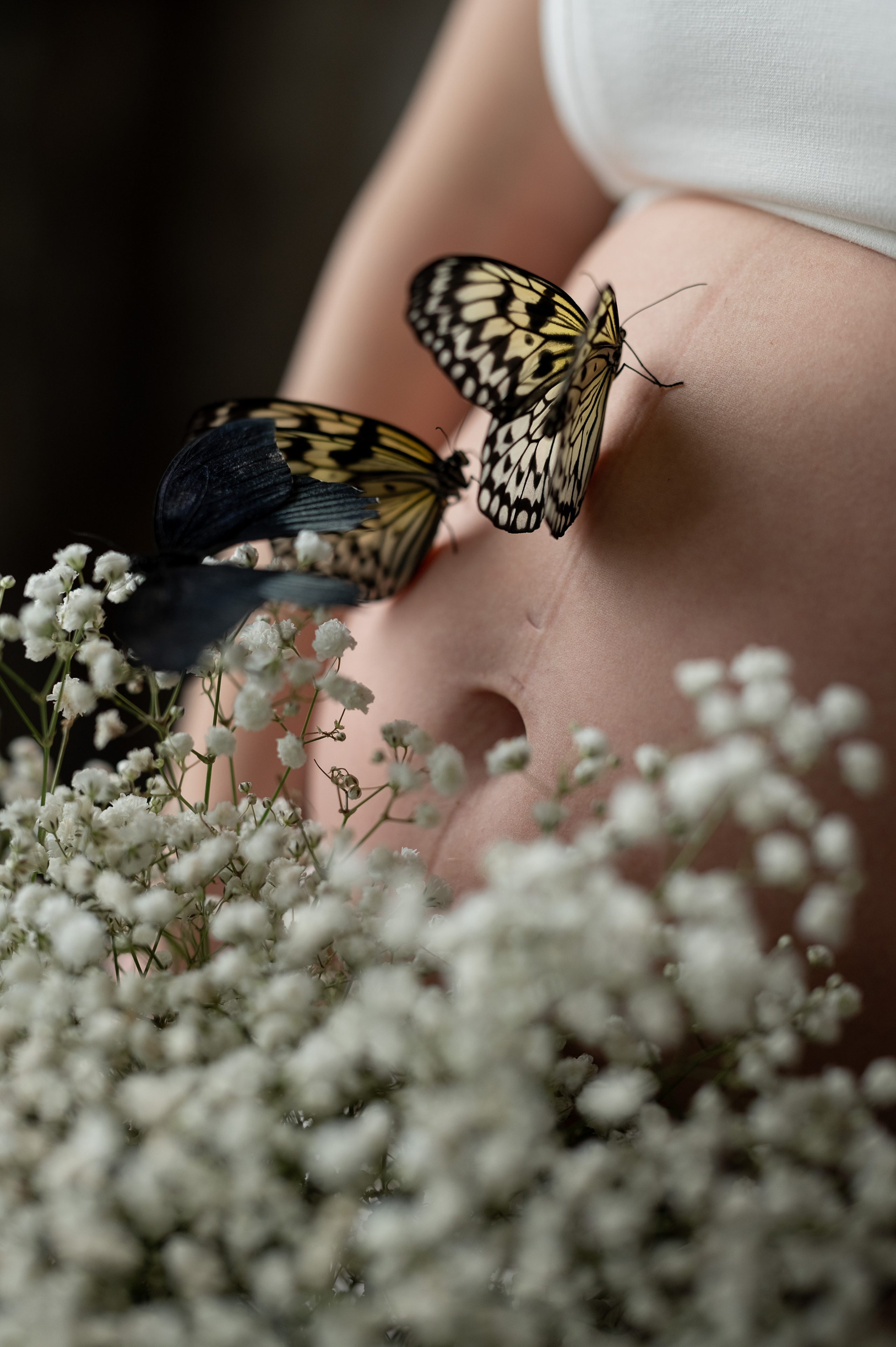 Фотосессия с бабочками. Каминская Екатерина. Семейный и детский фотограф в Москве