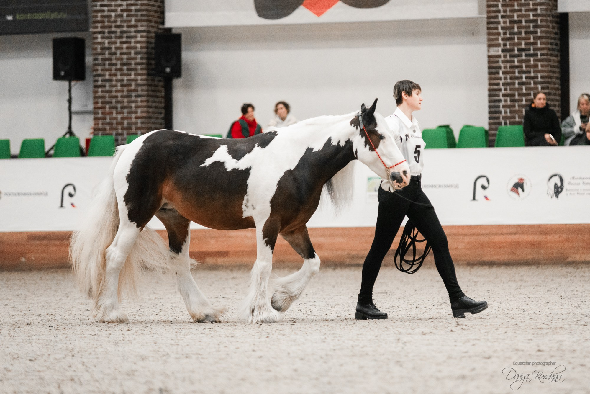 8-я международная выставка Конная Россия. Конный фотограф Куракина Дарья • Фотосессии с лошадьми