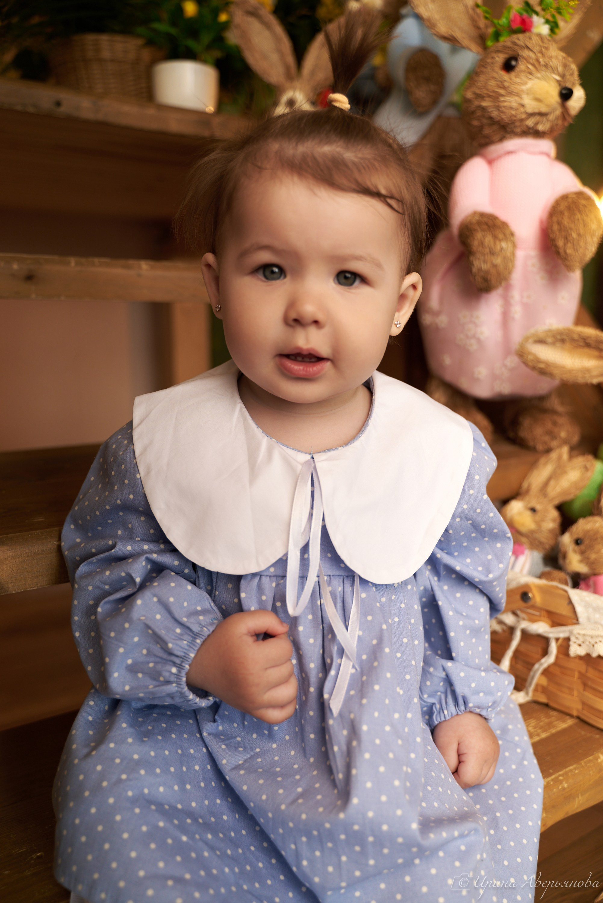 Фотопроект с декоративными кроликами. Фотограф в Ульяновске Ирина Аверьянова