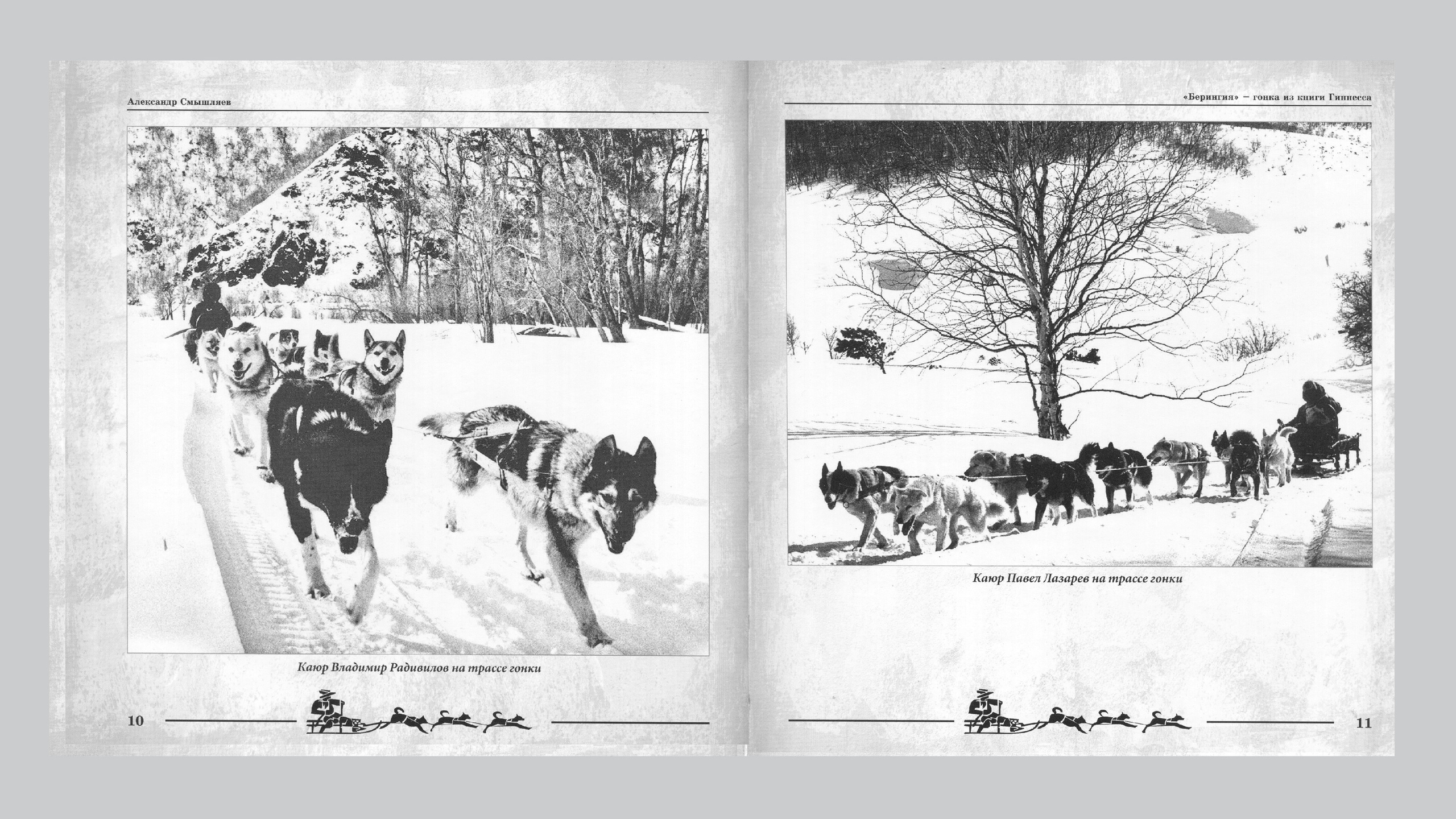 «Берингия», гонка из Книги Гиннесса. Александр Смышляев. История гонок на собачьих упряжках «Берингия»