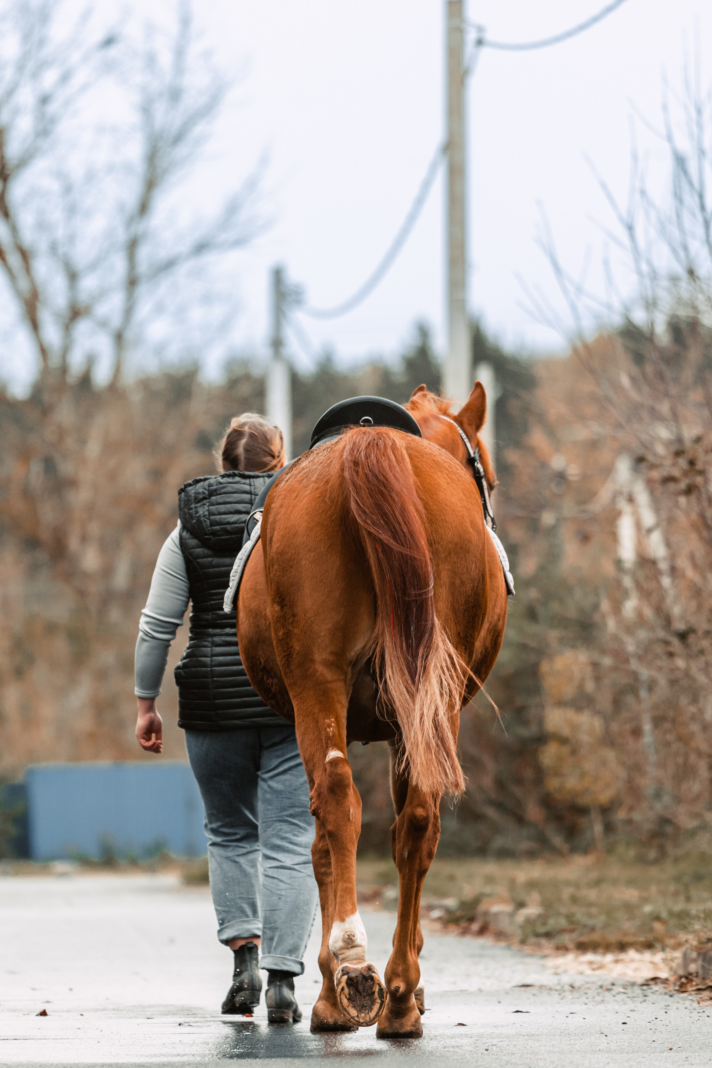 Лена и Рэджи. Фотограф-анималист Татьяна Степанова