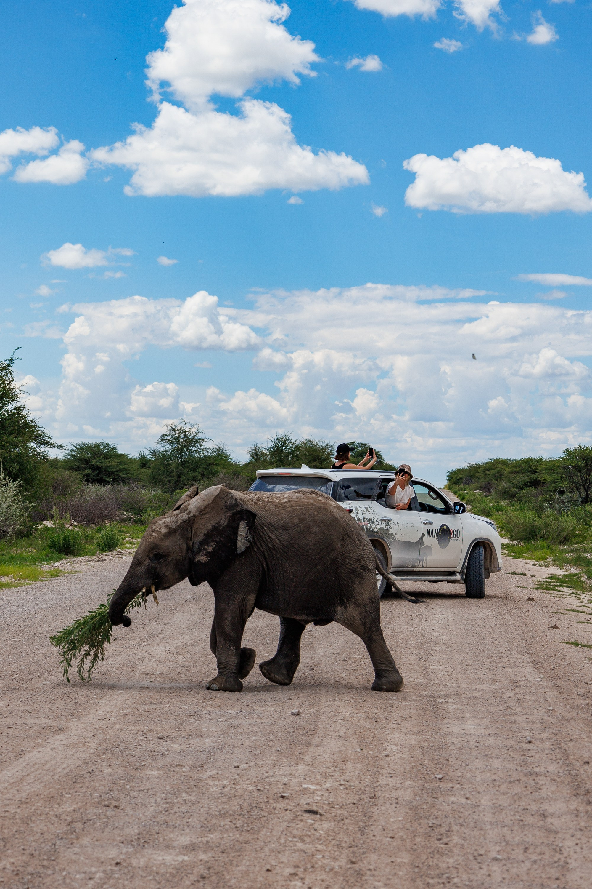НАМИБИЯ. Роадтрип