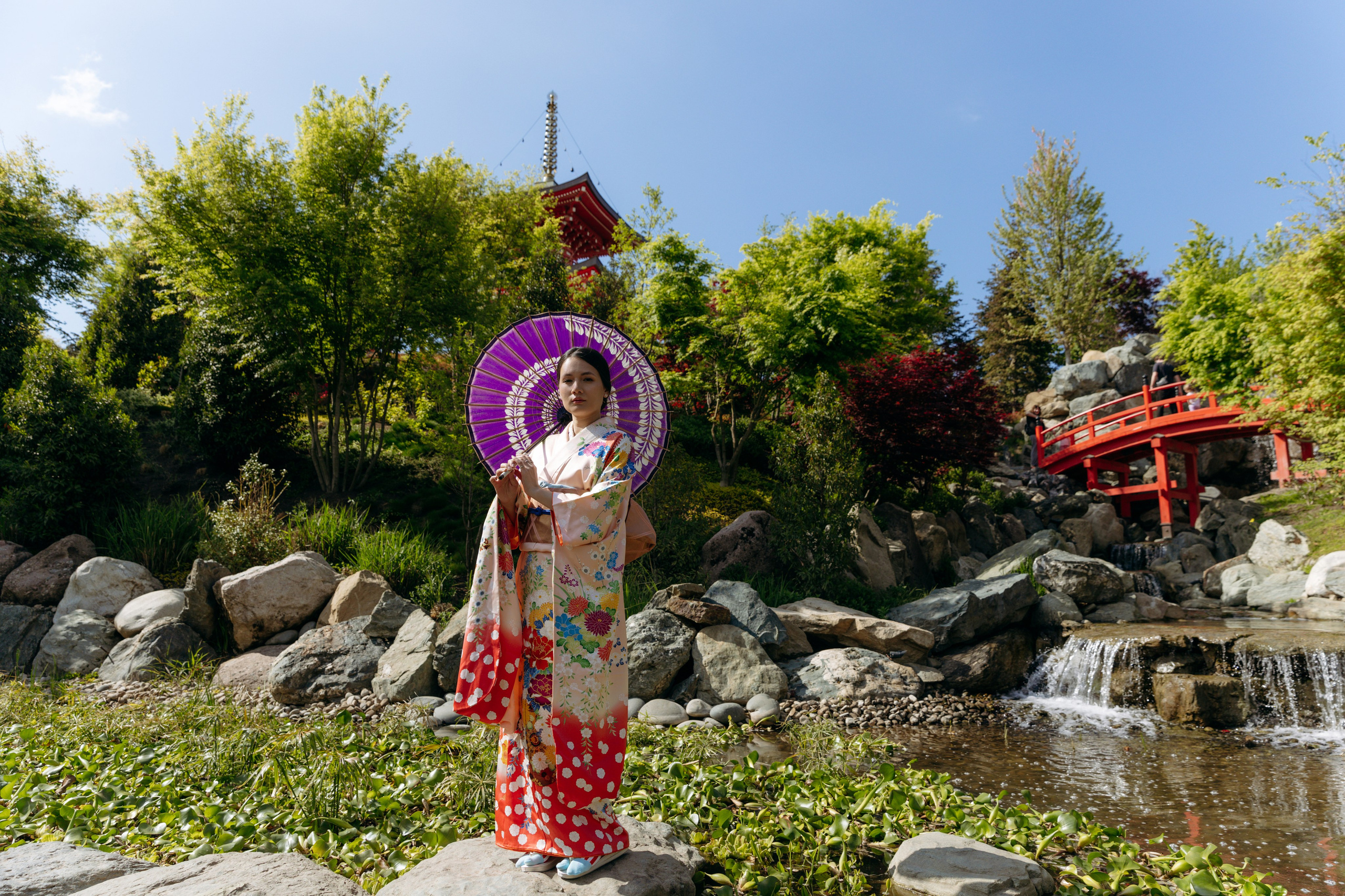 Японский сад. Свадебный и семейный фотограф Краснодар, Юлия Потопахина