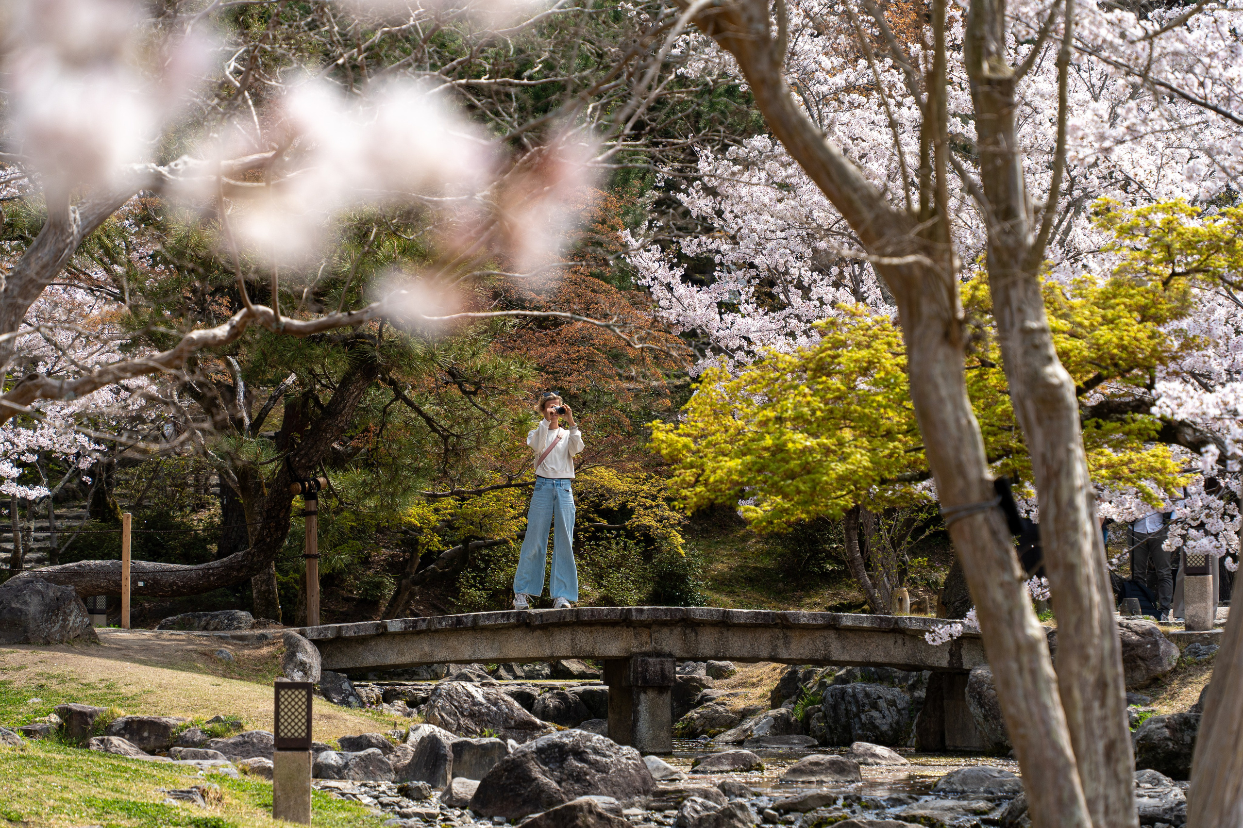 Япония, сакура. Творческие сьемки