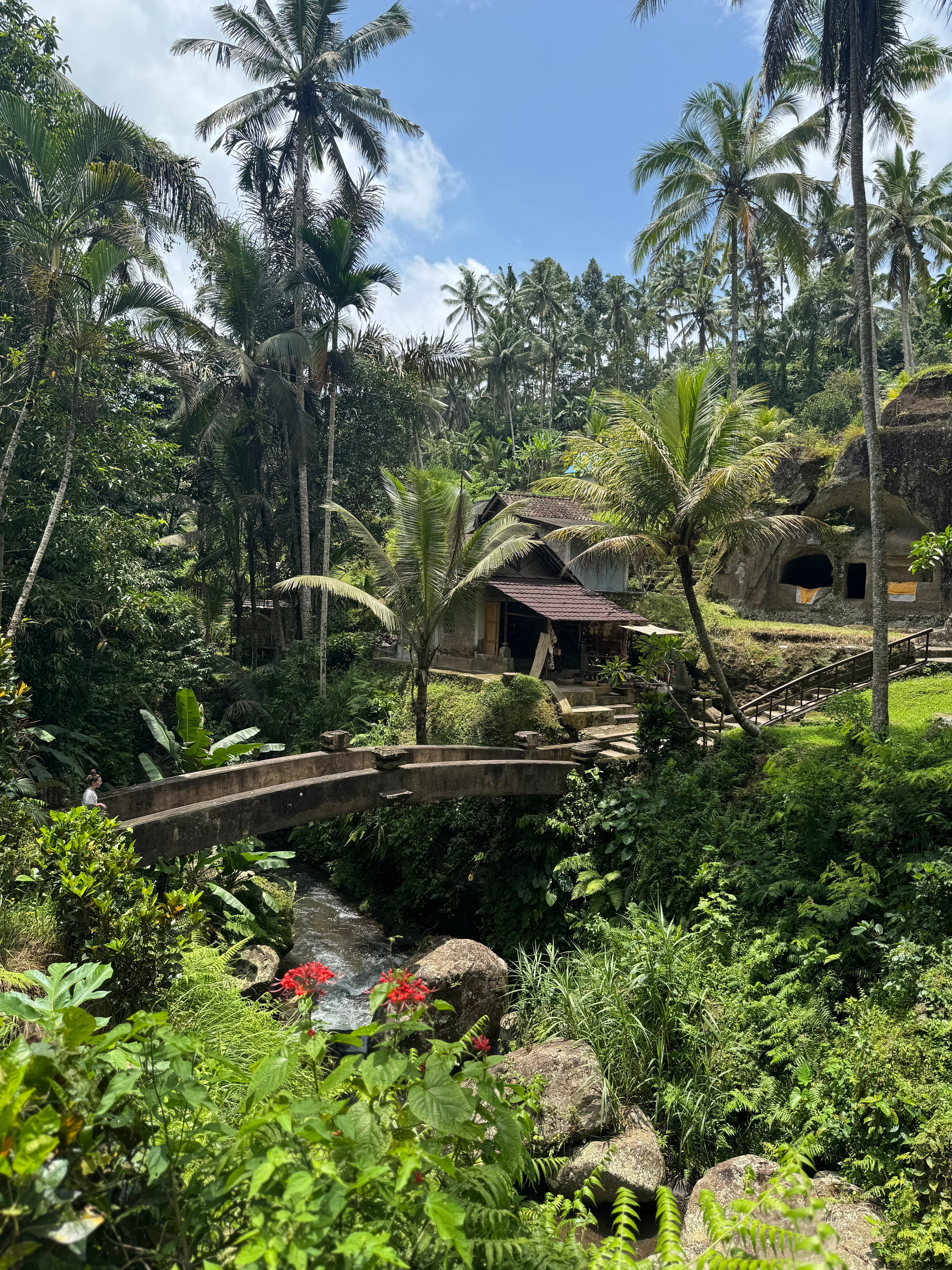 Бали. Убуд 2025. А вот и да!