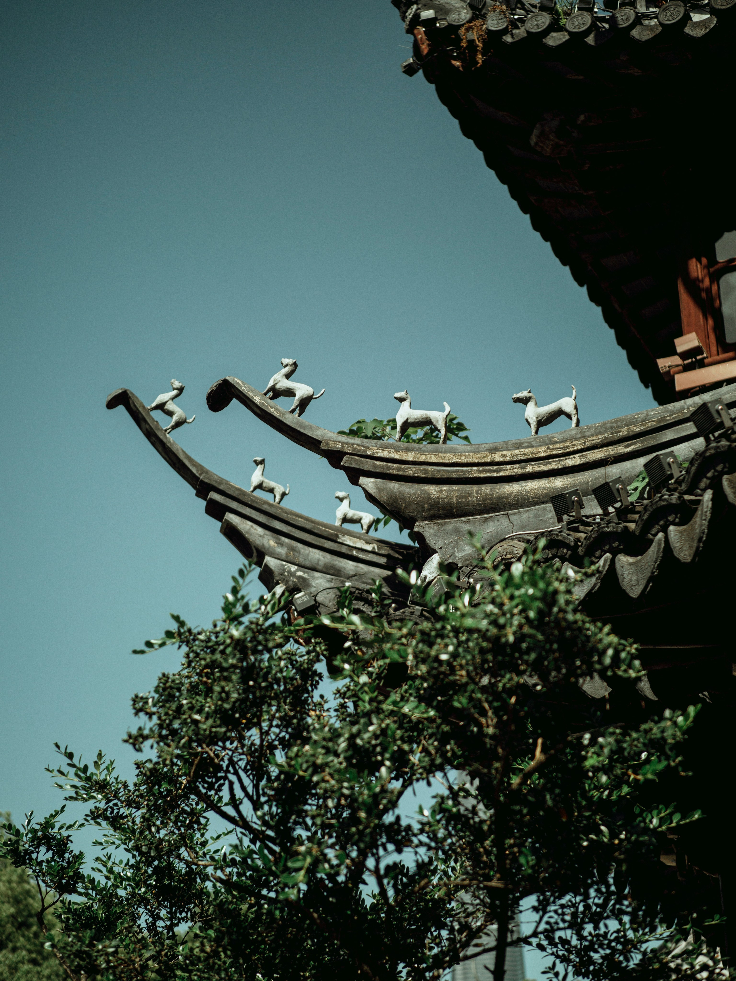 Shang Hai 上海. Фотограф и видеограф в Благовещенске и Санкт-Петербурге Мурыгина Мария